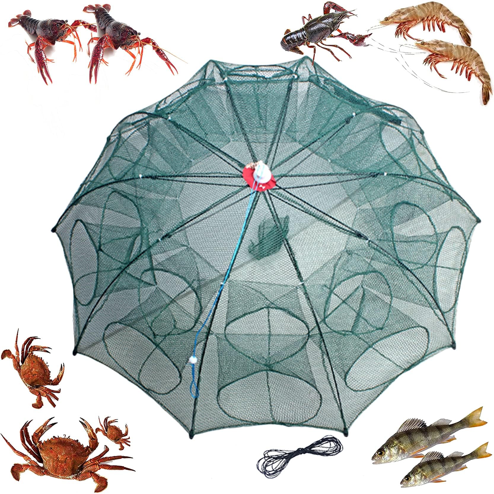 See full amazon price history chart for Battalion Fishing Trap (20Holes) High Durable Nylon Net Trap | Portable & Foldable Ideal for Fish, Crab, Shrimps | Suitable for Lakes and Sea | Fish Trap | Cast Net with Extra Drag Line Battalion Fishing Trap (20Holes) High Durable Nylon Net Trap | Portable & Foldable Ideal for Fish, Crab, Shrimps | Suitable for Lakes and Sea | Fish Trap | Cast Net with Extra Drag Line (B0DG8HTLPN) Amazon Price History, Amazon Price Tracker
