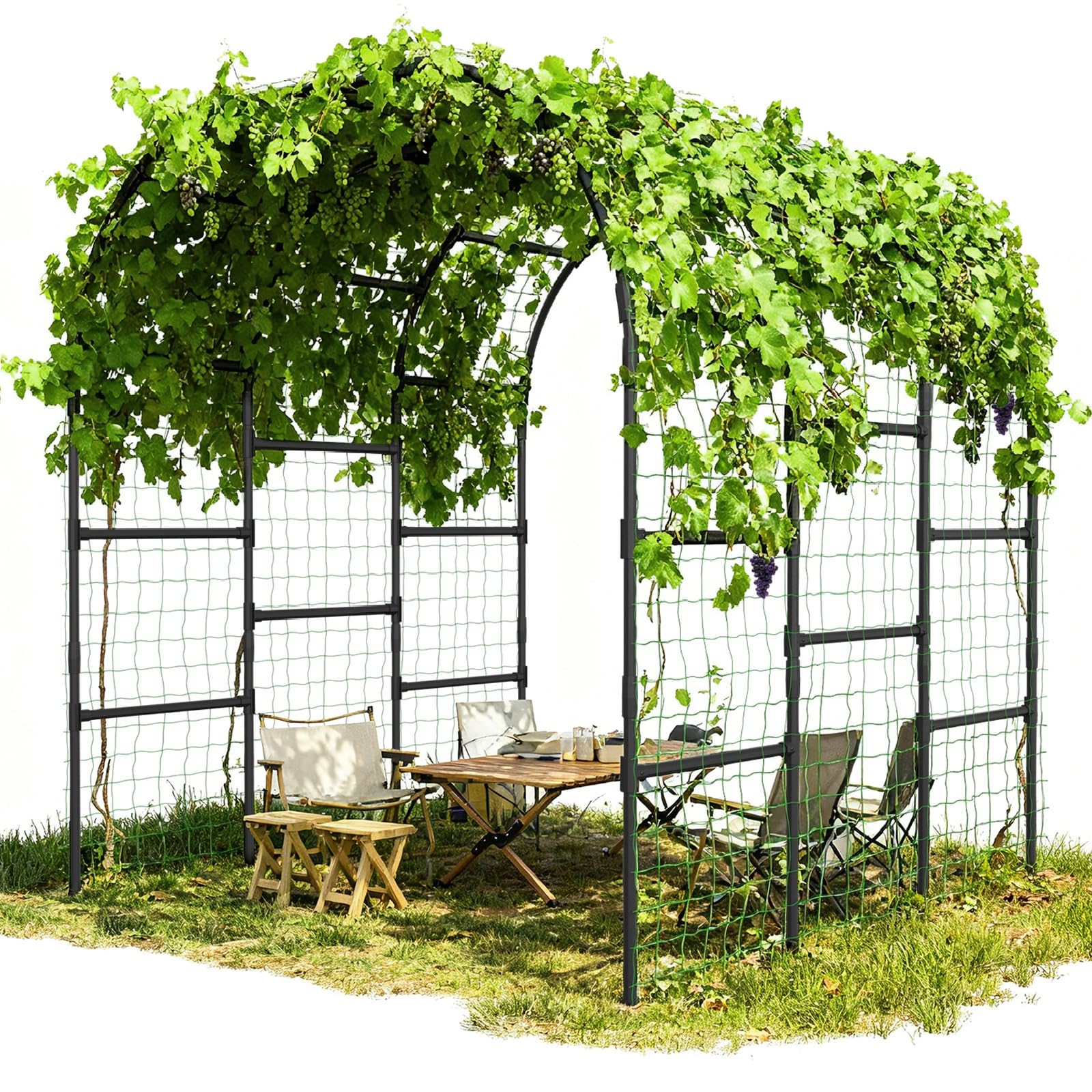 DoCred Garden Arch Trellis with climbing roses and a seating area