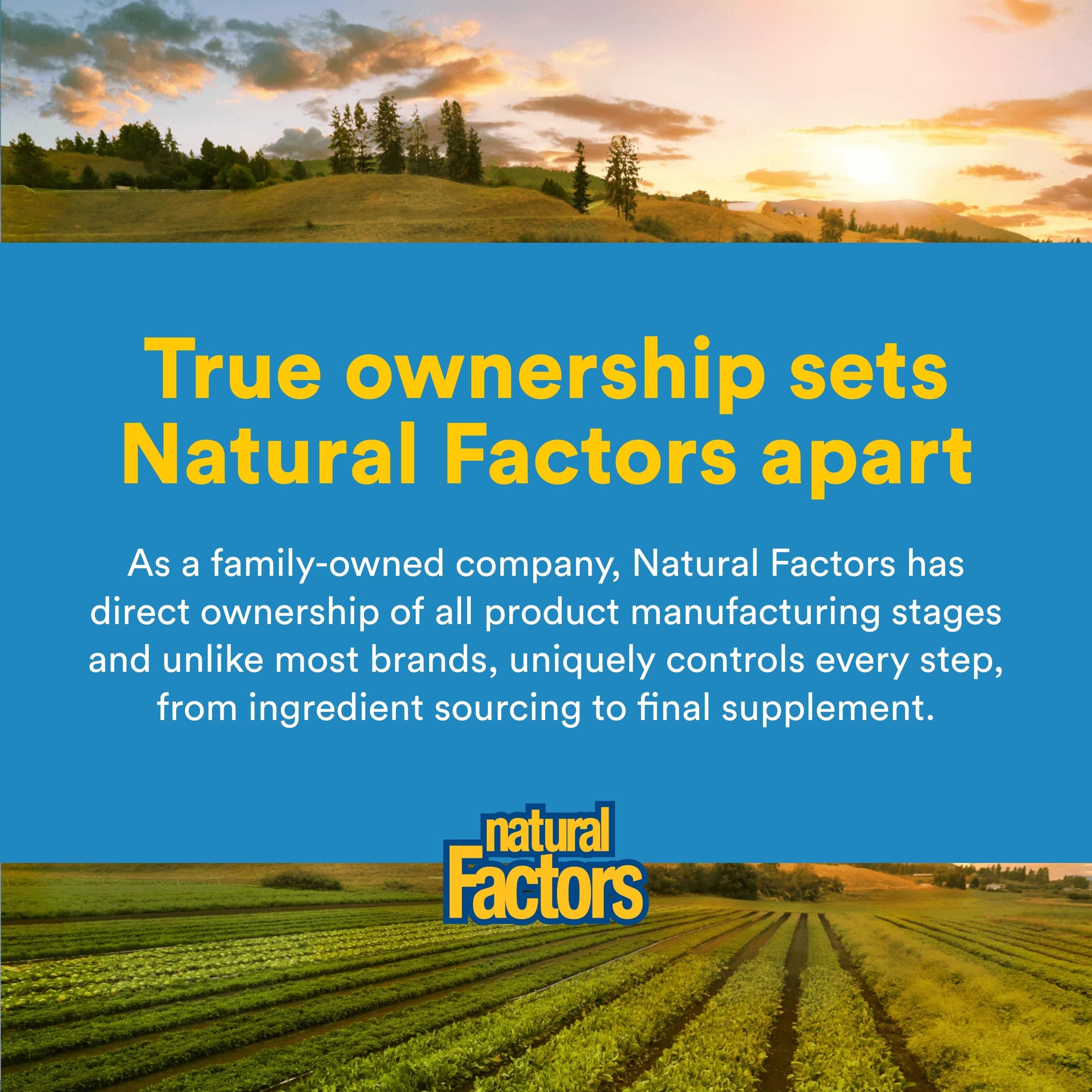 Natural Factors Micronized L-Glutamine Amino Acid 1000 mg, 90 Veg Capsules — Amazon image 7