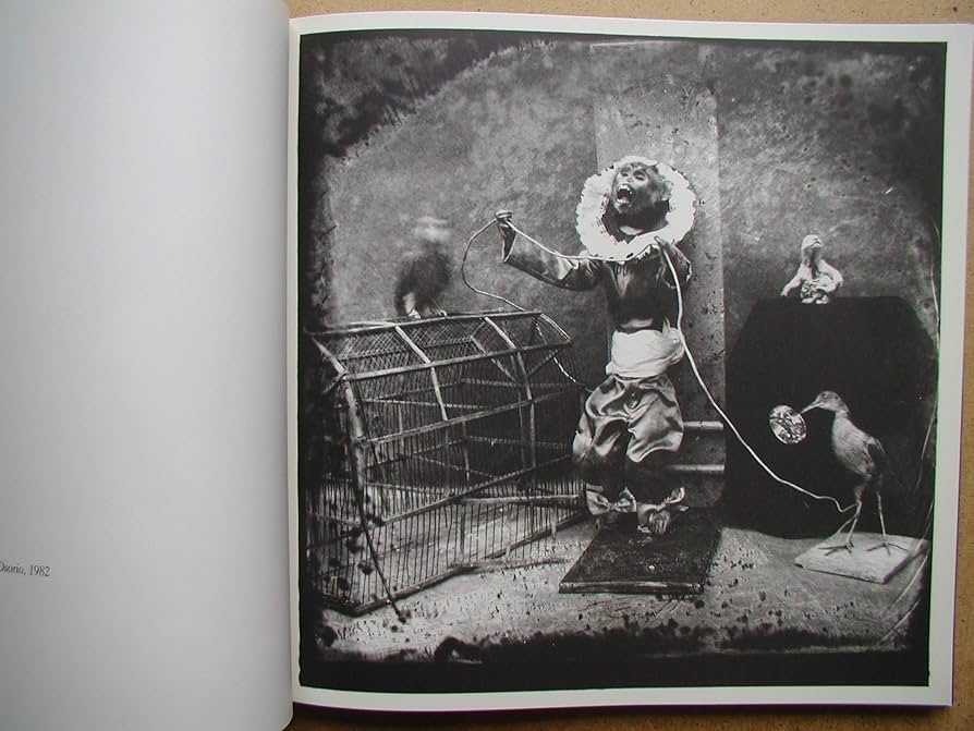 Joel Peter Witkin 4000部限定 Joel-Peter Witkin Modern & Contemporary Art: Online Auction
