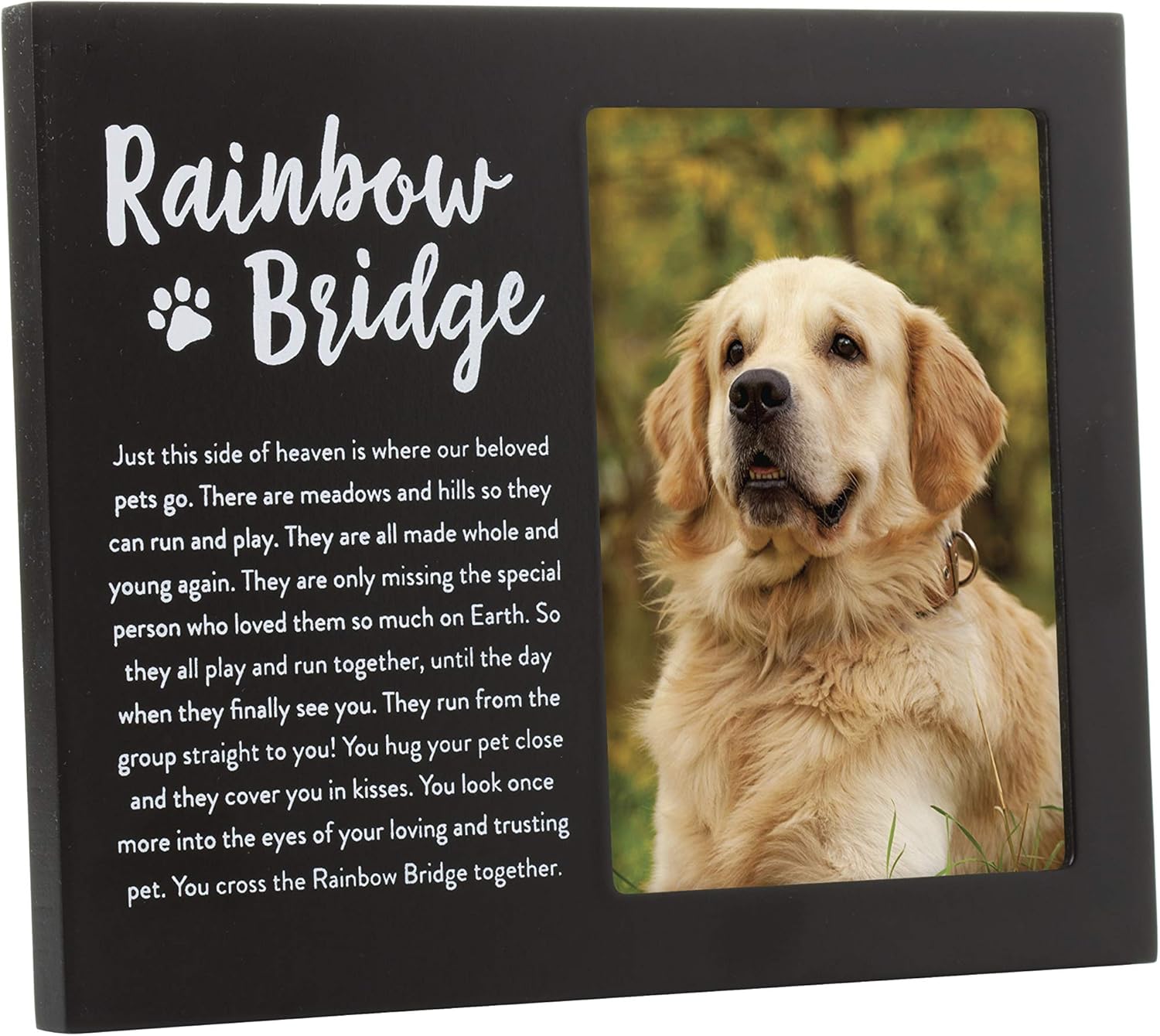 dog collar memorial frame
