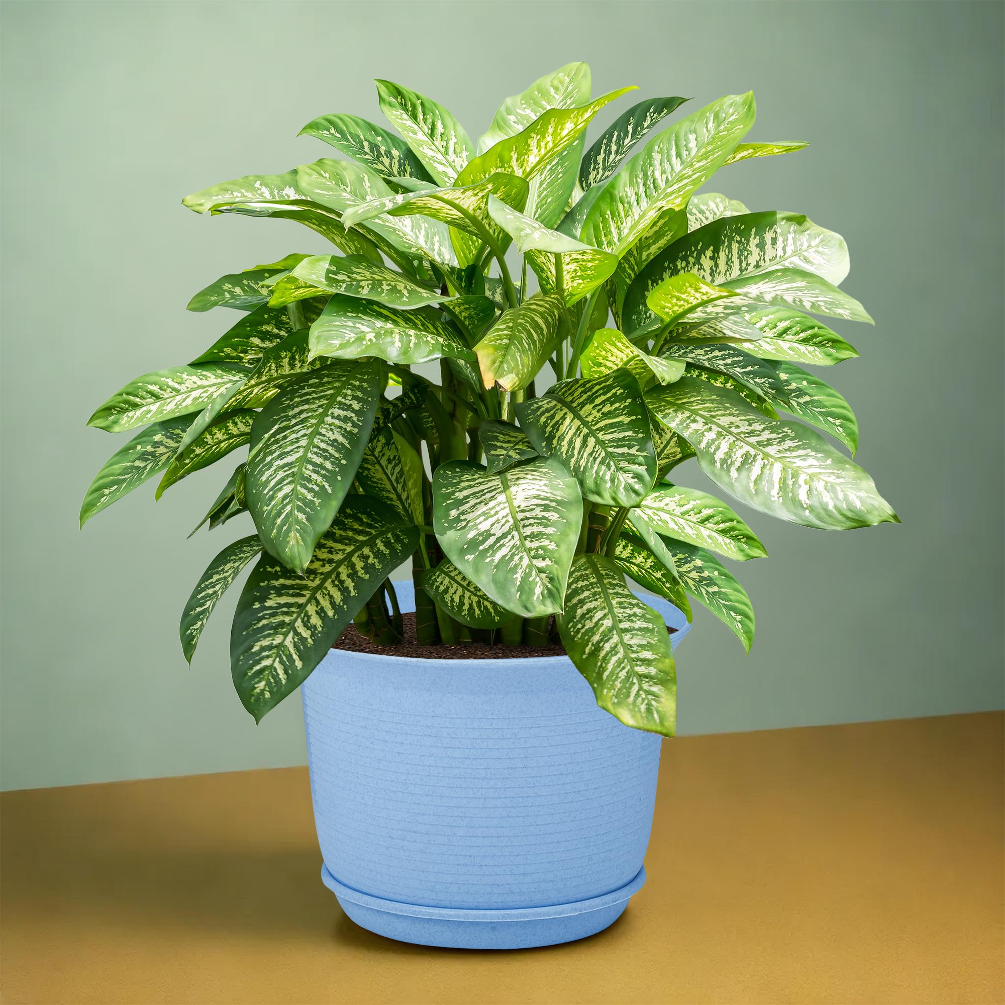 Marble Flower Pot with Plate - Blue -2 Marble Flower Pot with Plate - Blue -2
