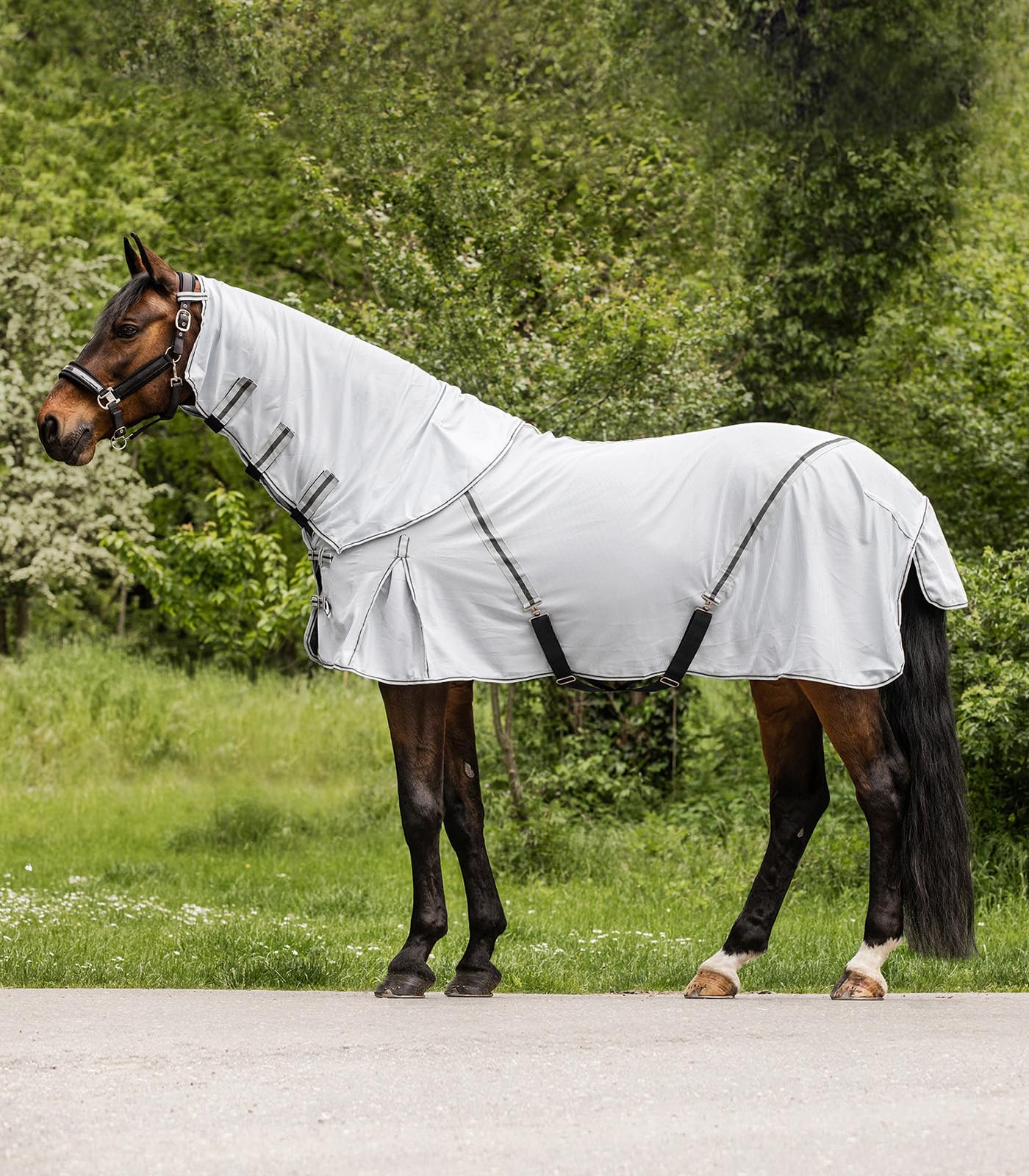 Waldhausen Manta antimoscas Protect con cuello extraíble, color gris plateado y gris, 165 cm
