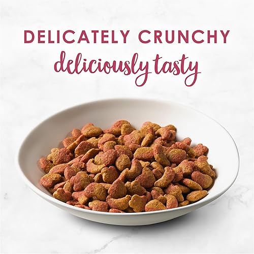 Miniatura 4 de Fancy Feast Gourmet - Comida seca para gatos con sabor a filete mignon con mariscos reales y camarones, 16 onzas, (paquete de 12)