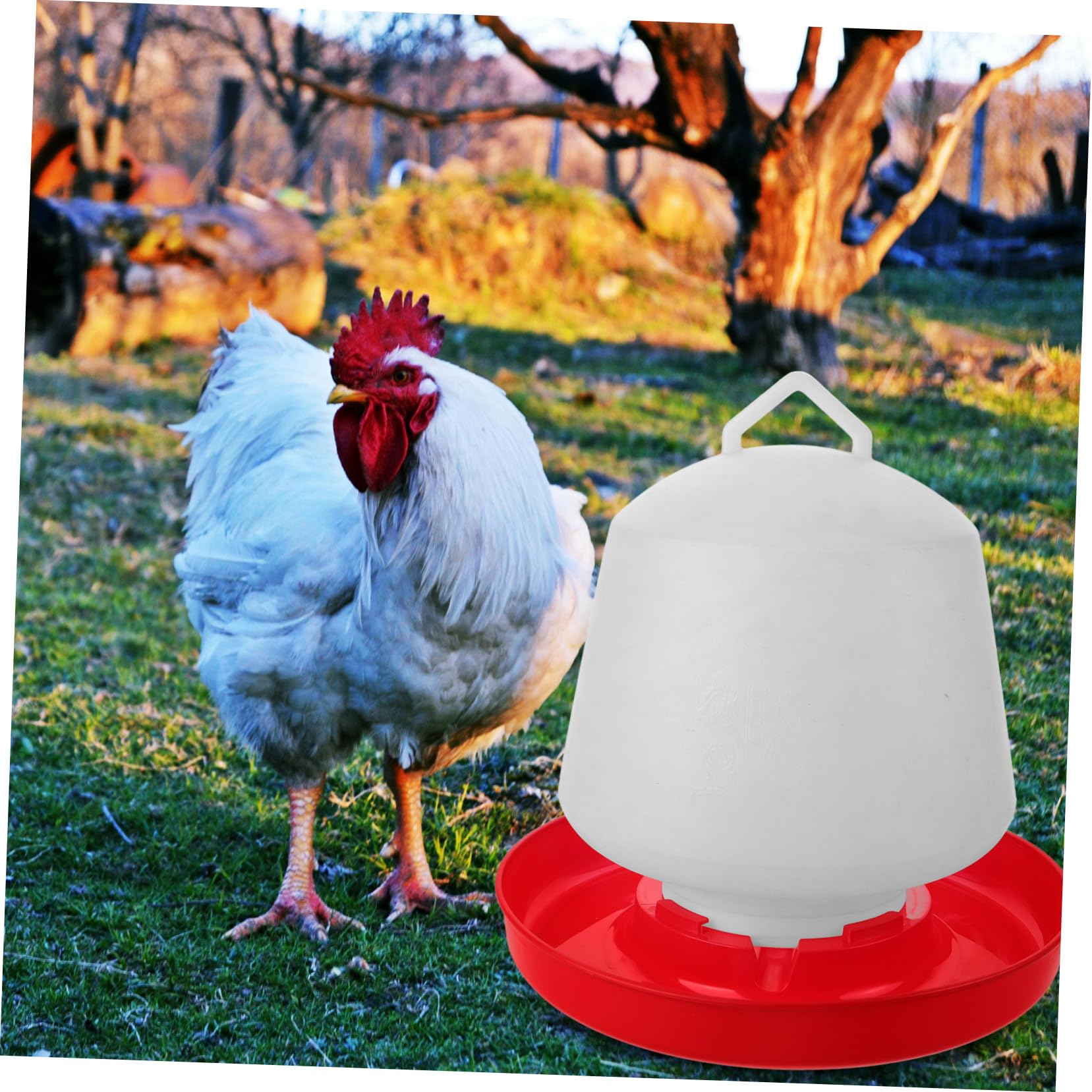 TOYANDONA Mangiatoia per Pollame Resistente alla Pressione e Forte Robustezza Design Creativo in Plastica Bianca per Alimentazione di Galline e Oche All'aperto