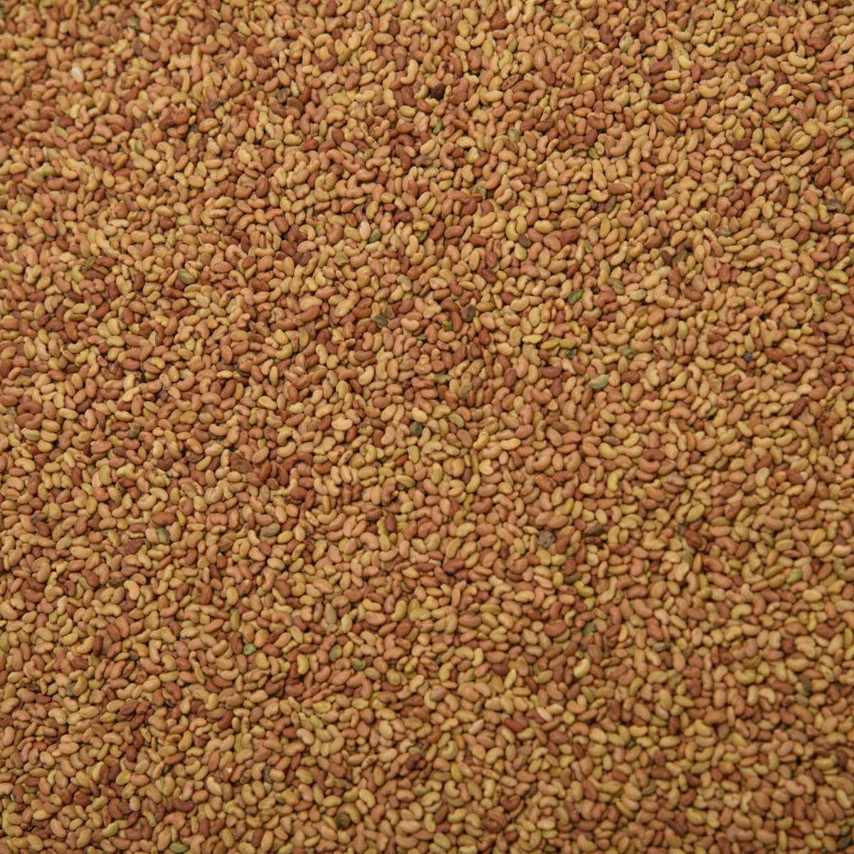 Dry Fruit Hub Alfalfa Seeds 1kg,Alfalfa seeds for sprouting,alfalfa seeds for eating for weight loss - Image 6 thumbnail