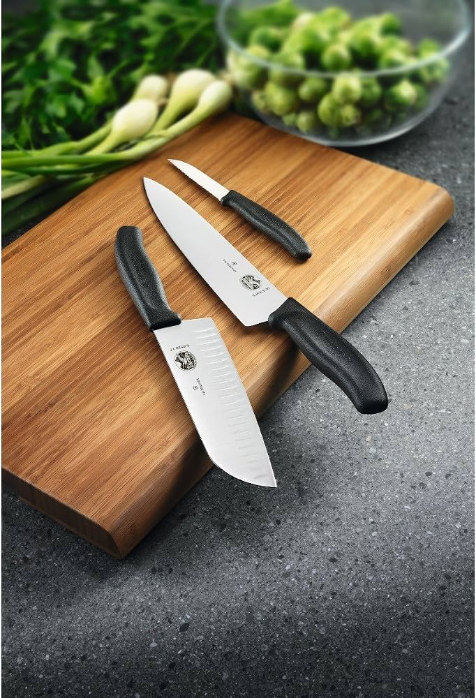 Amazon.com: Swiss Classic 22-Piece Knife Block Set by Victorinox