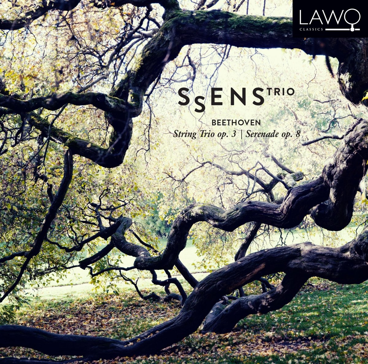 Beethoven: String Trio, Op. 3; Serenade, Op. 8