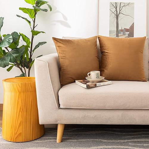 Vista 40 de NiNi ALL Fundas de almohada decorativas de terciopelo suaves para sofá, dormitorio, sala de estar, exteriores, paquete de 2 unidades, 18 x 18 Aqua