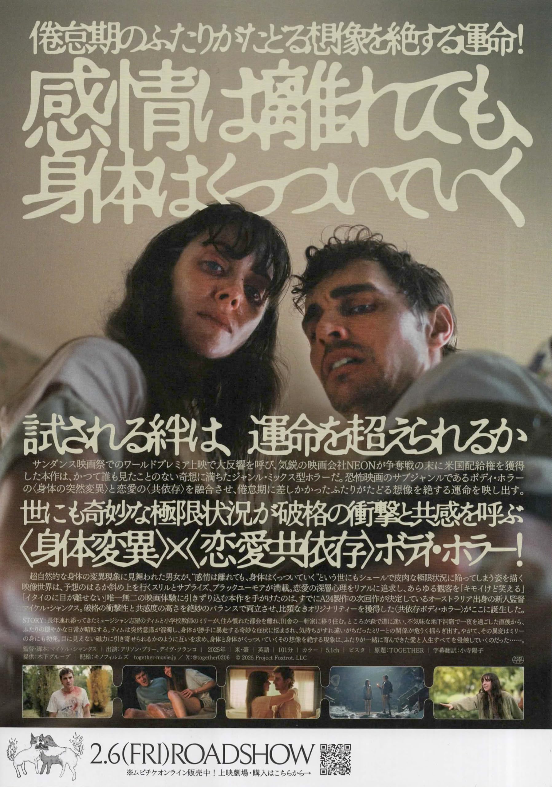 Amazon.co.jp: [キノフィルムズ] 映画 TOGETHER トゥギャザー 映画