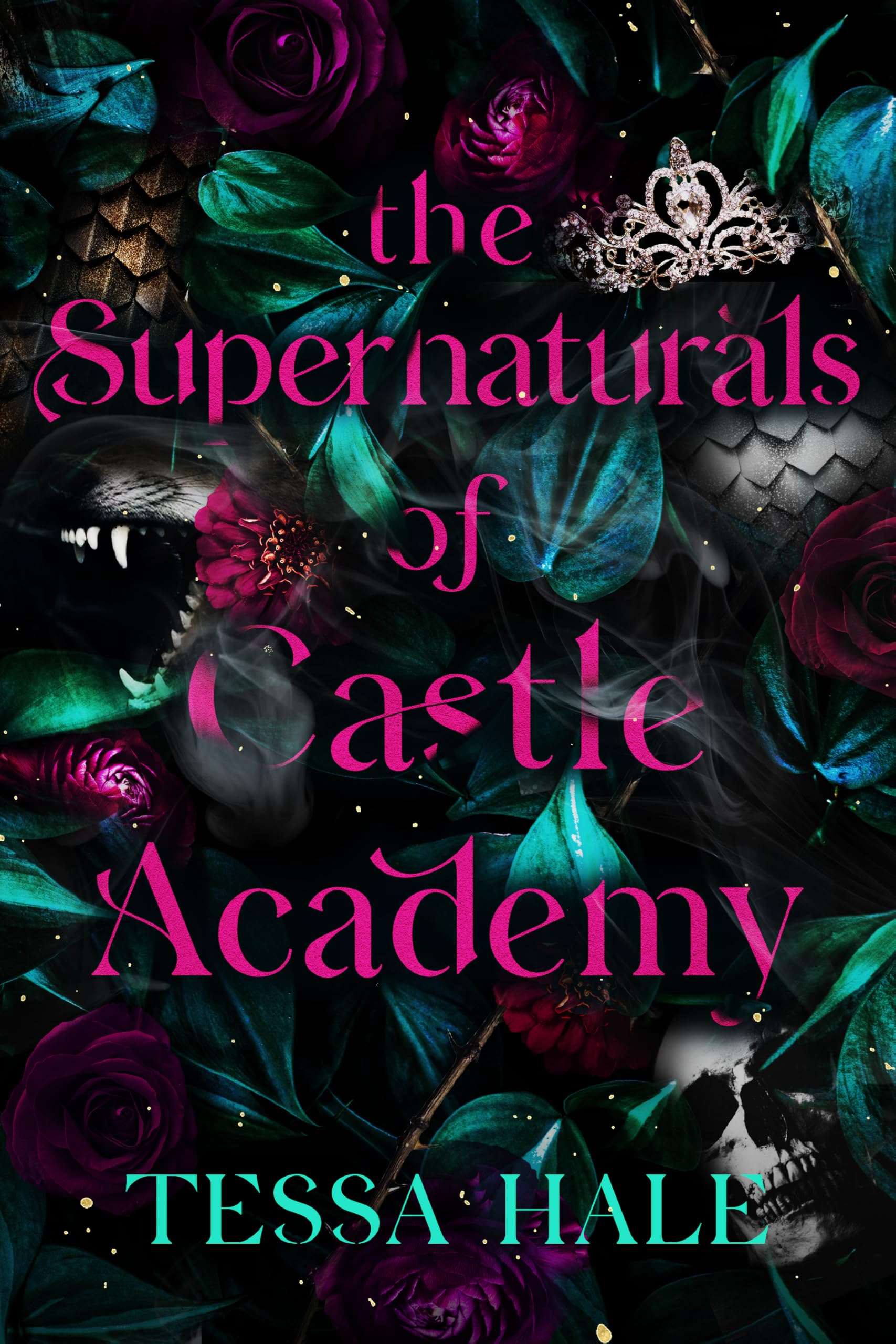 Supernaturals of Castle Academy: The Complete Series Box Set