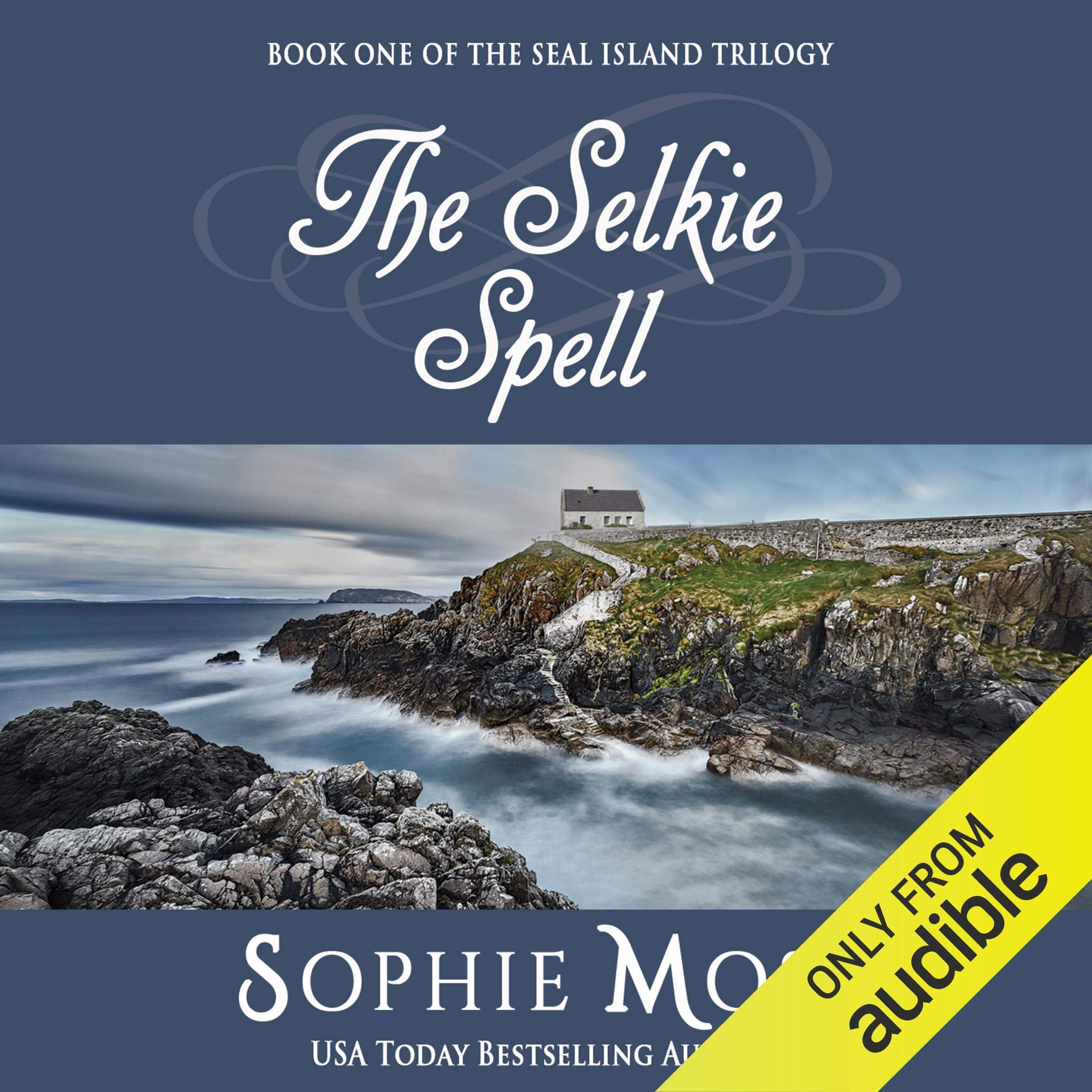 Cover art for The Selkie Spell