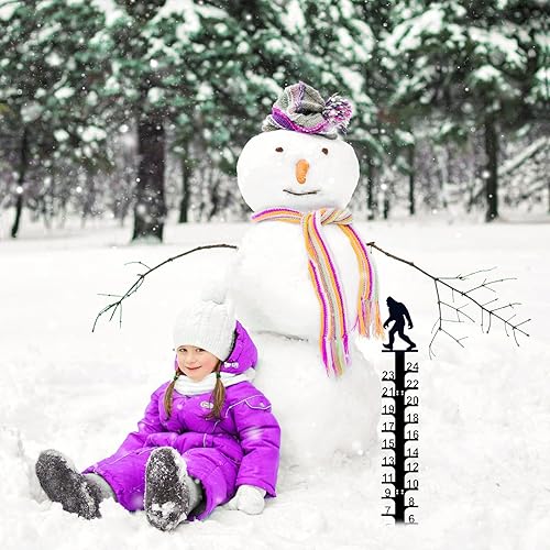Miniatura 3 de LiveGo Iron Art - Medidor de nieve de 24 pulgadas, medidor de medición para exteriores, palo de medición de nieve desmontable de metal, estacas de
