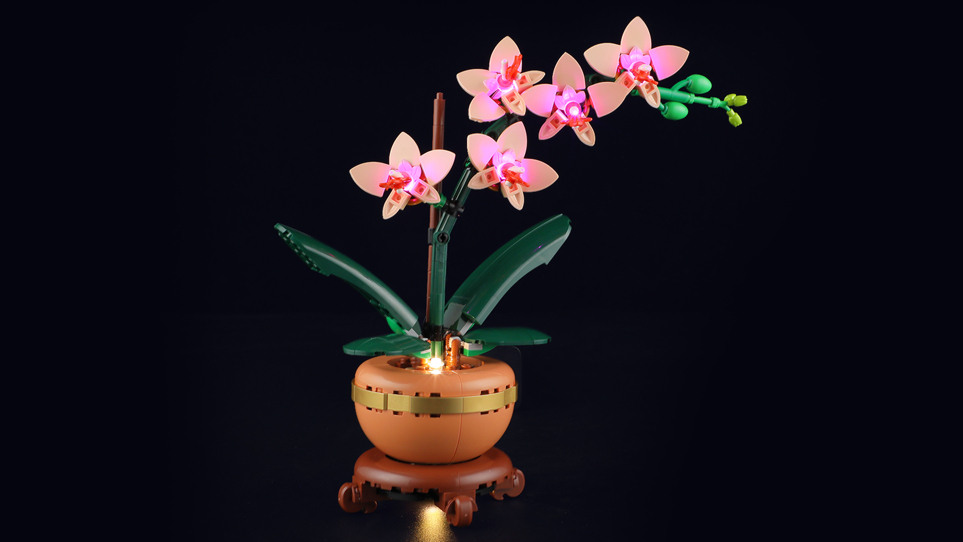 Amazon.com: LIGHTAILING Light for Lego-10343 Mini Orchid - Led