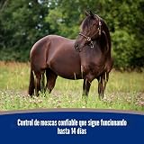 Ver la foto 7