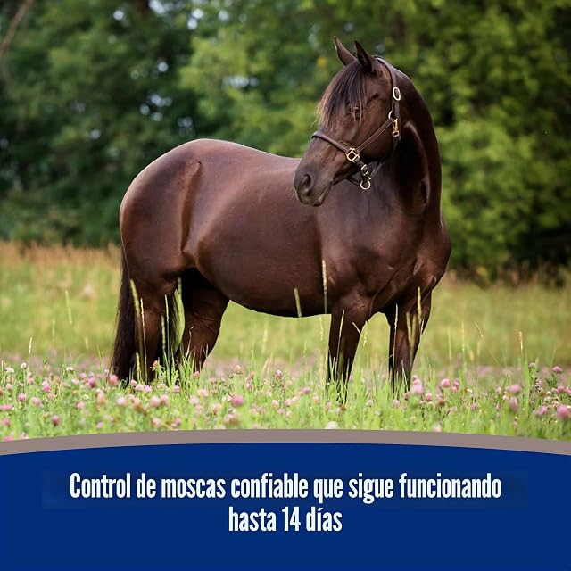 Foto 7 de 8 de Vetnova Tritec 14 3,8 L (Ndr) 3800 g