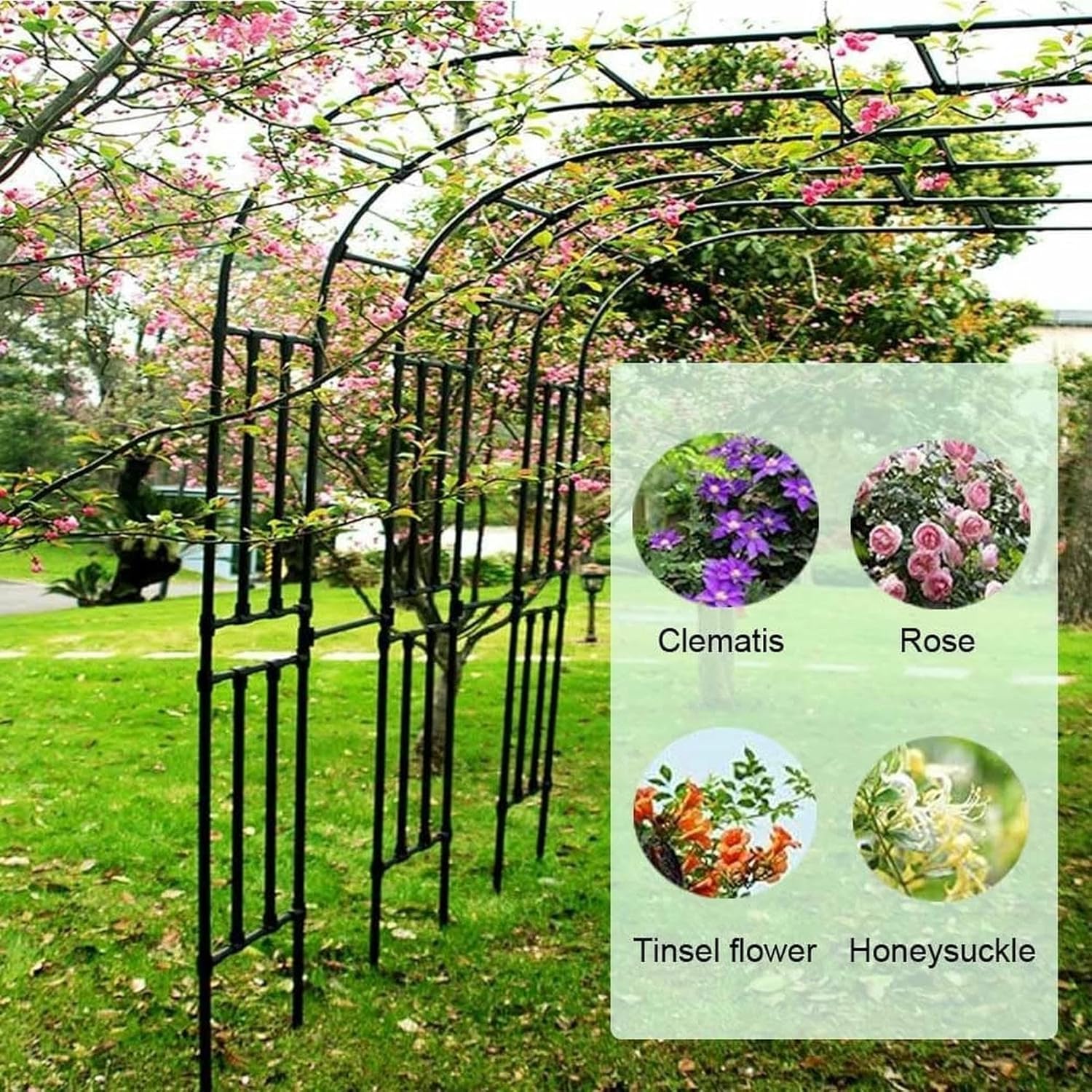 Garden Arc for Climbing Plants, Resistant for Support of Flowers, Fruits and Outdoor Vegetables, Wired Metal for Garden Decoration ~/