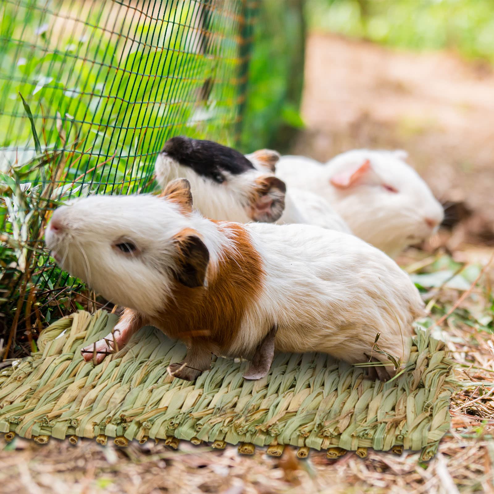 Riakrum 40 Stück gewebte Strohmatte Bett Maisschalen Kaninchen Matte Schlafen Kaninchen Bettwäsche Natürliches Kauspielzeug Bett für Papagei Chinchilla Eichhörnchen Hamster Katze Hund Kleintiere