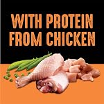 CRAVE Nourriture Sèche pour Chien Adulte, Saveur Poulet, Sac de 9,98 kg
