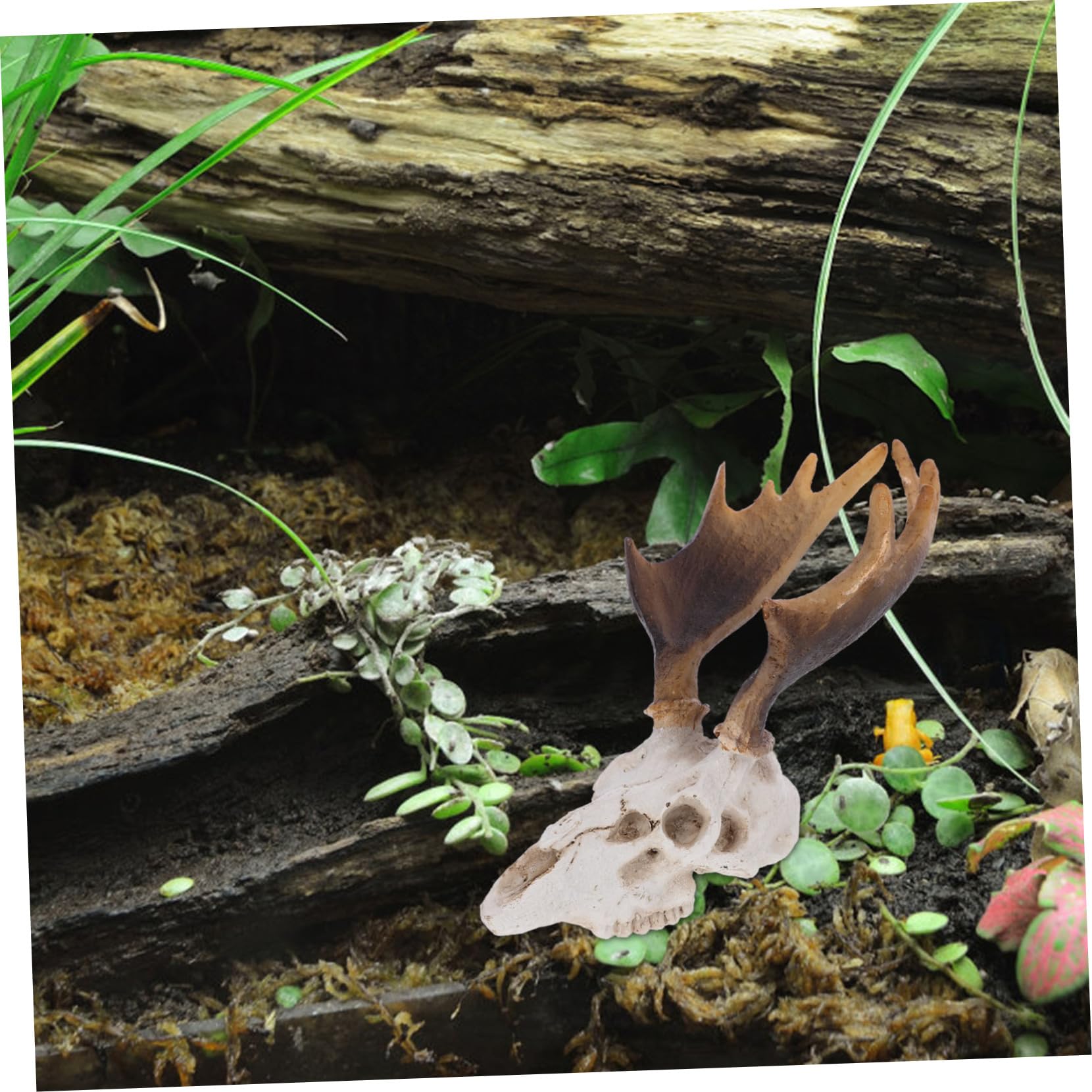 Kisangel 3pezzi Per Rettili Decorazione Per Terrario e Nascondiglio Per Rettili e Riscaldamento Accessorio Per Habitat e