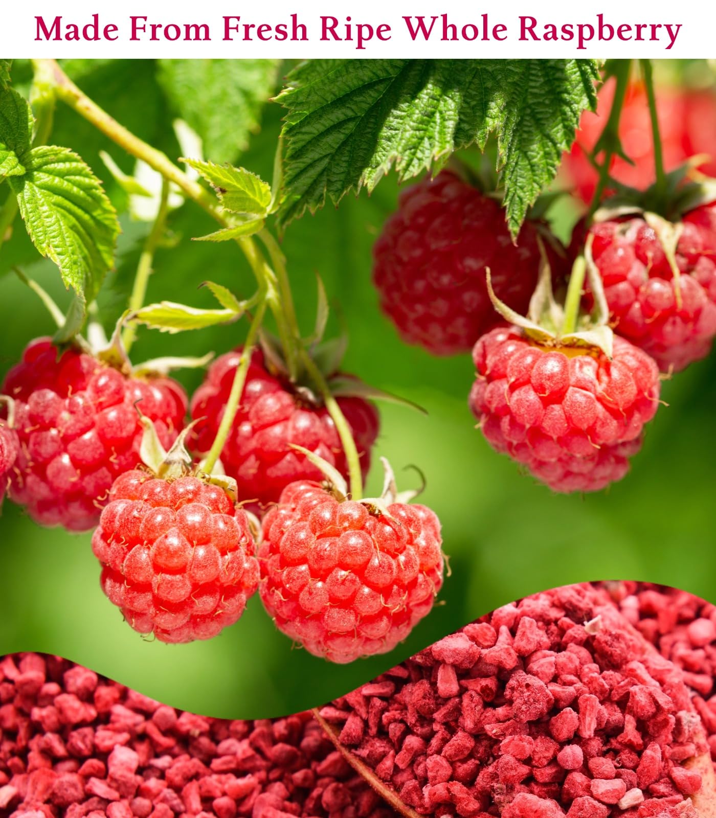 Premium Freeze Dried Raspberry Pieces - 35g (1.2 oz) Dried Berry | No Added Sugar | Crunchy Tart Topping for Yogurt, Snacks, Baking & Smoothies | Resealable Pouch