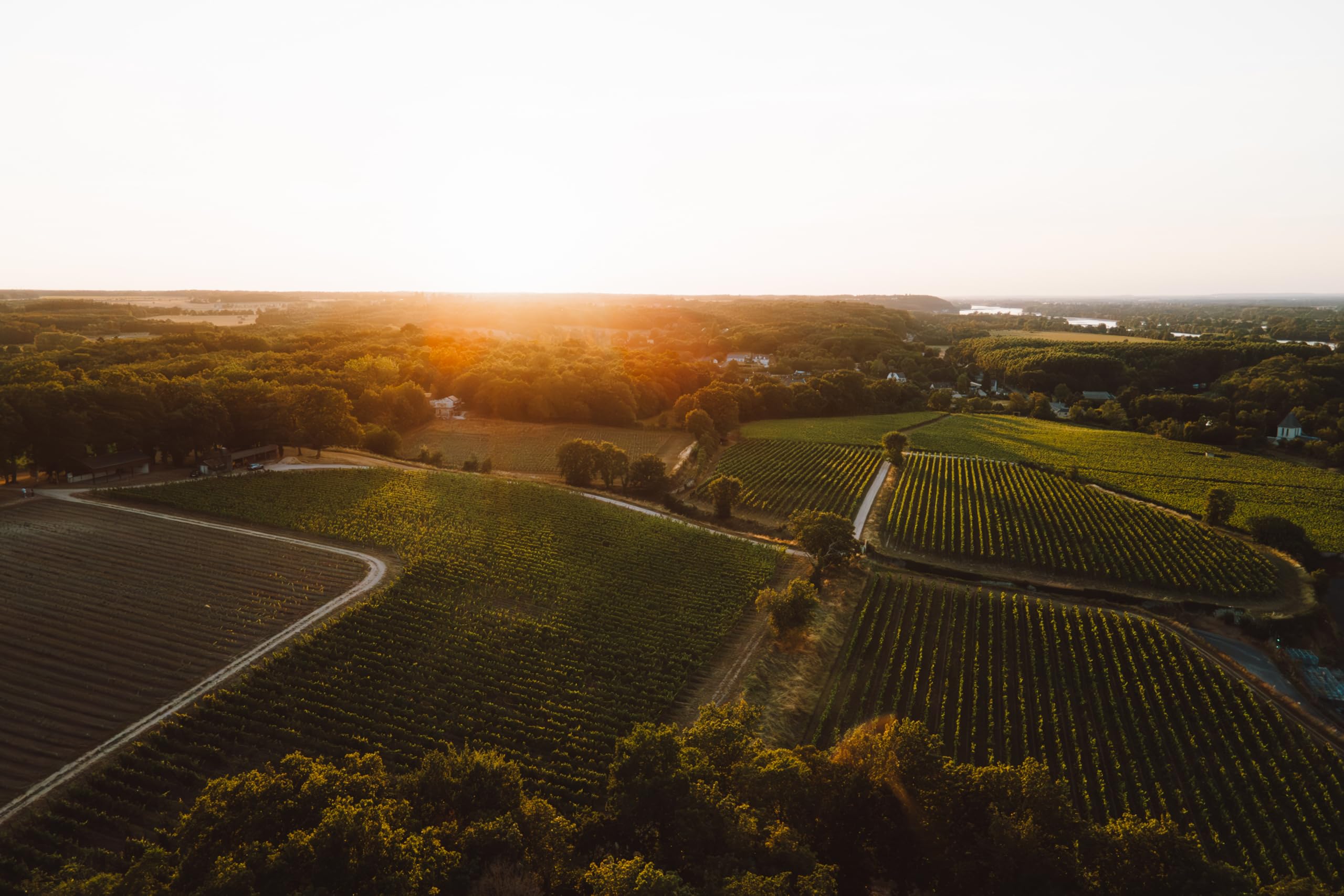 Amazon.co.jp: アルカン ラングロワ=シャトー クレマン・ド