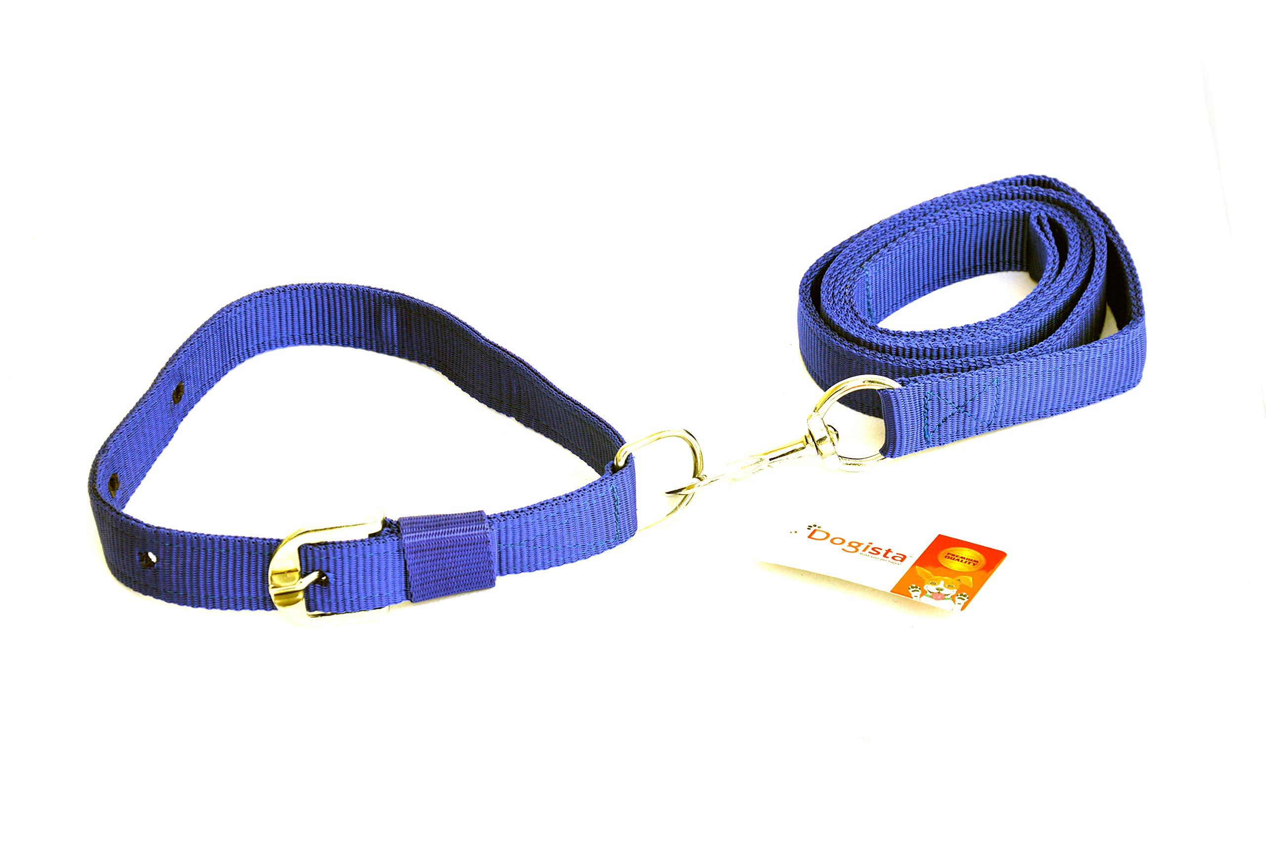 Dogista Pet Products Nylon Dog Leash Collar Set 1(Color May Vary) Large