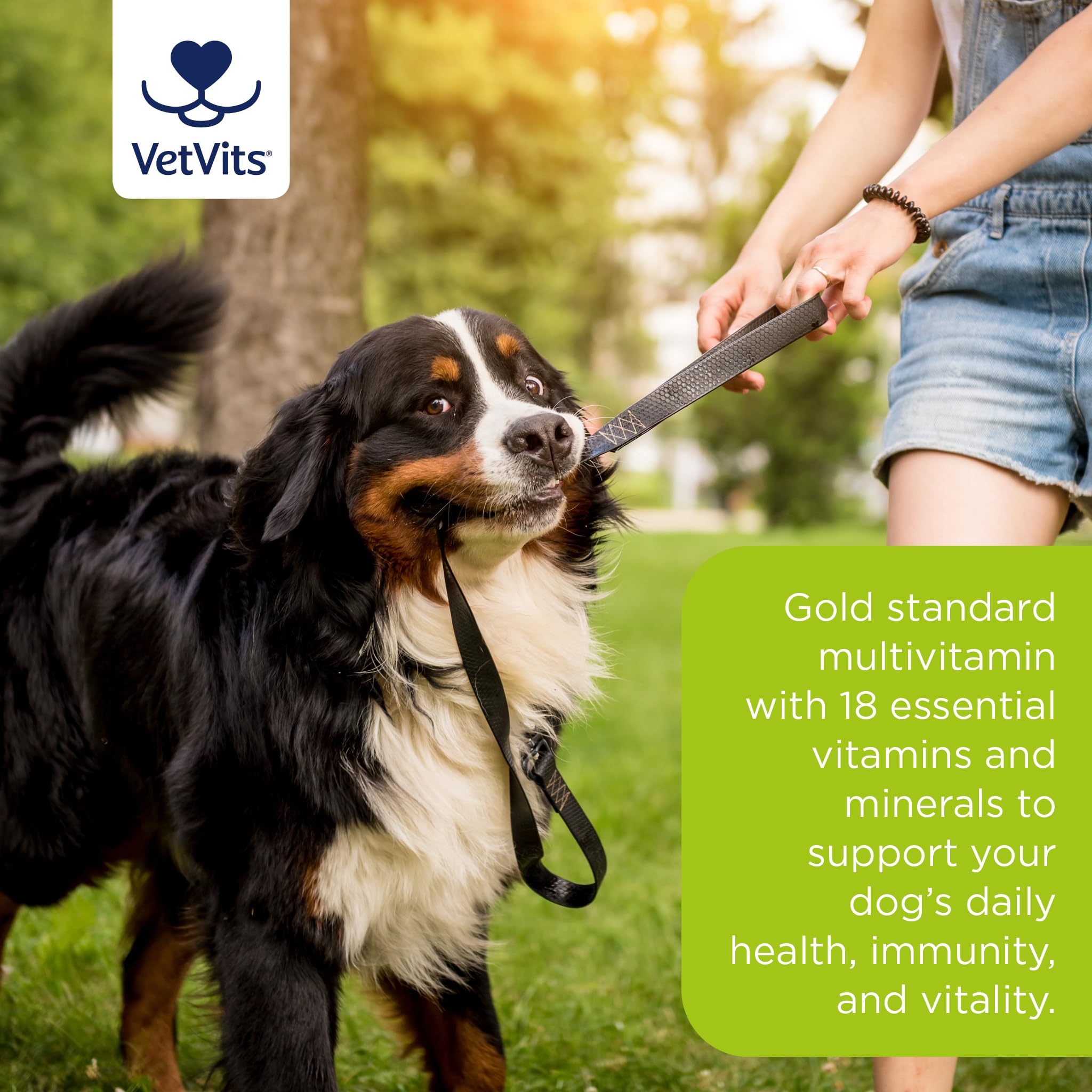 Vetvits Multivitamin for Dogs (120 Tablets) - Image 3