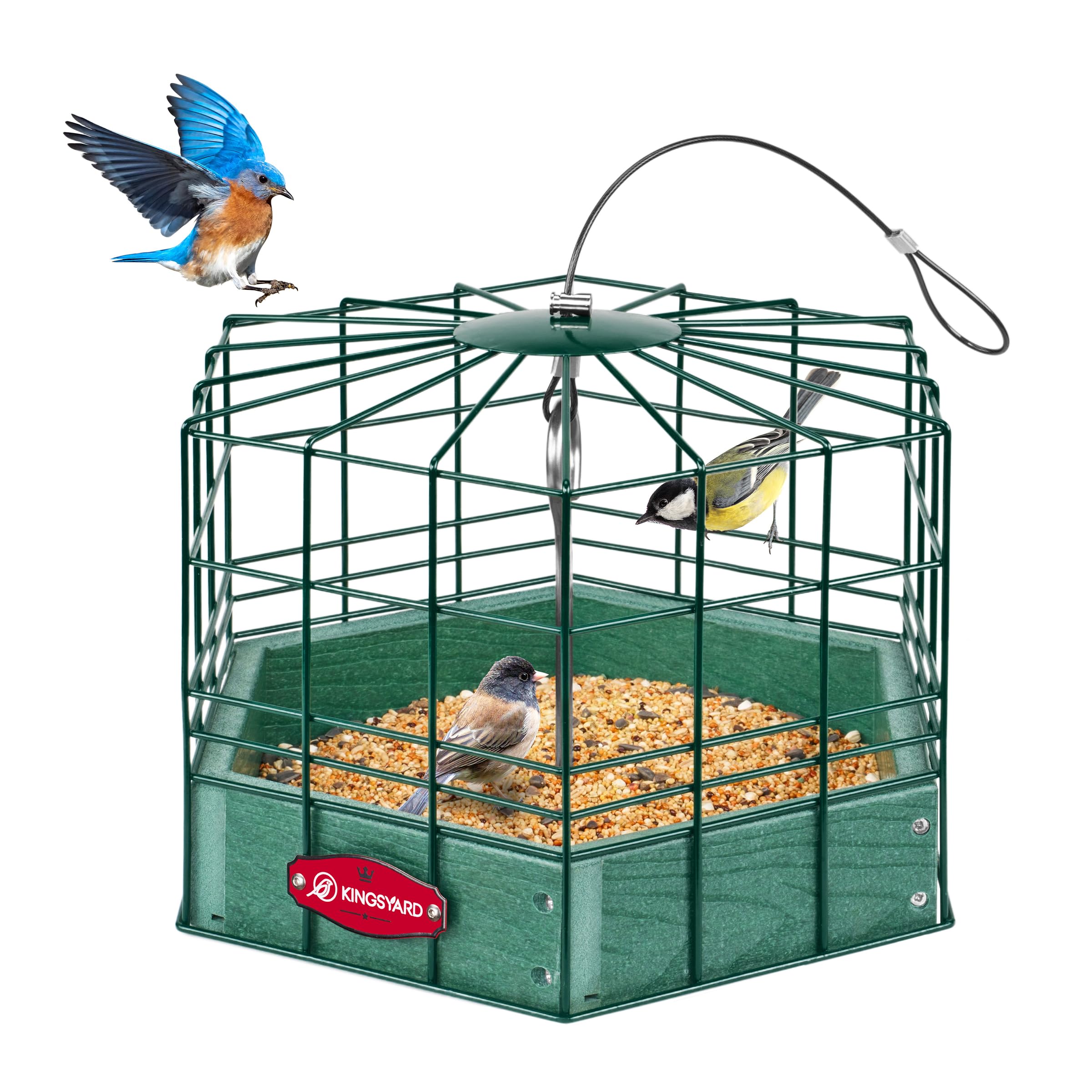 Kingsyard GrackleProof Bird Feeder for Outdoor Hanging Rugged