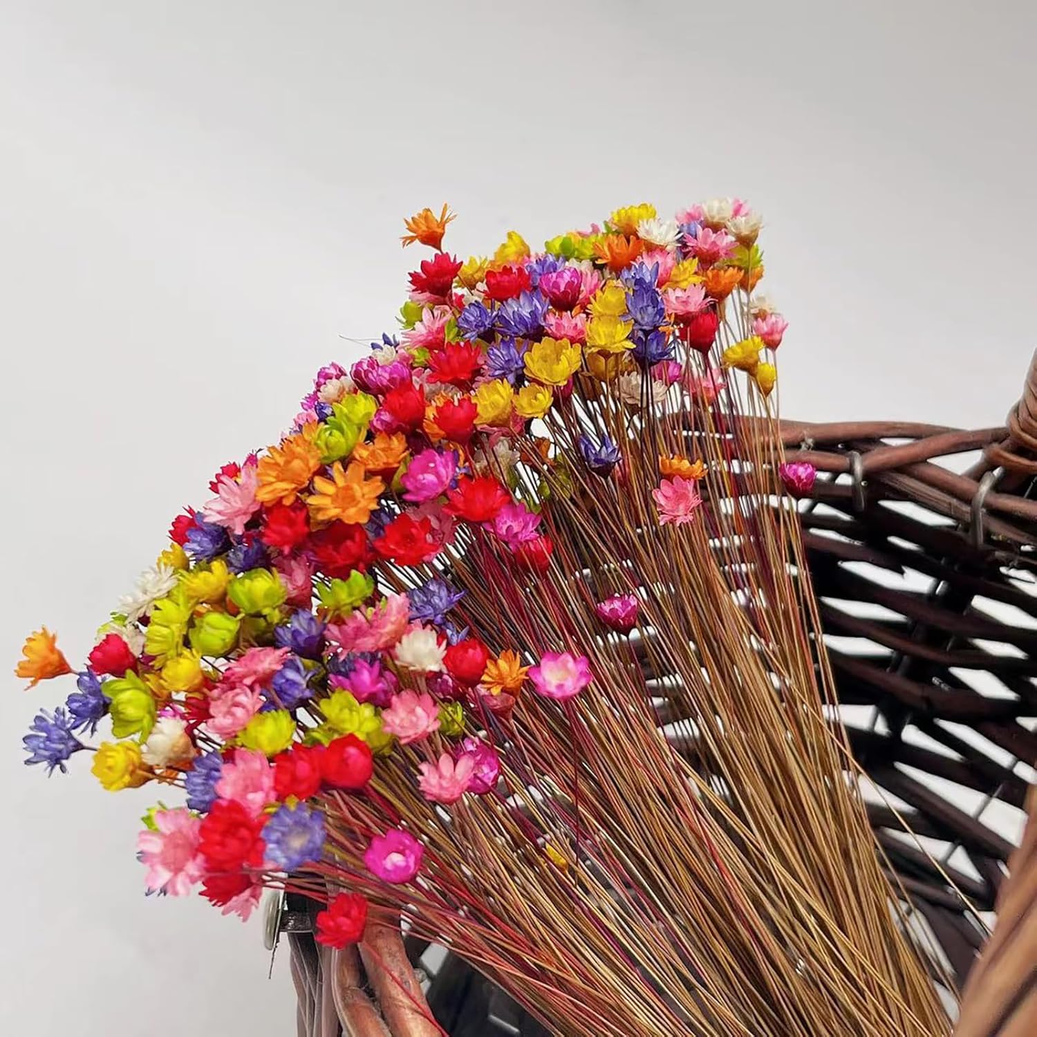 100 Stems Natural Dry Flowers Brazilian Small Star Daisy Decorative Dried Flowers Mini Daisy Chamomile Bouquet for Wedding Floral Arrangements Home Decorations (Lotus Color) - Image 8