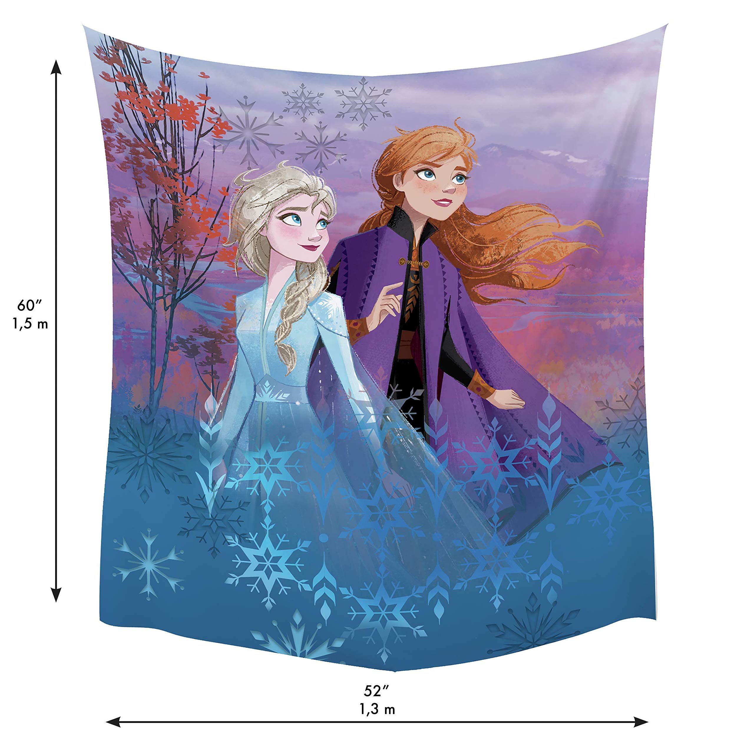 Amazon.com: RoomMates TAP4527LG Disney Frozen 2 Destiny Awaits