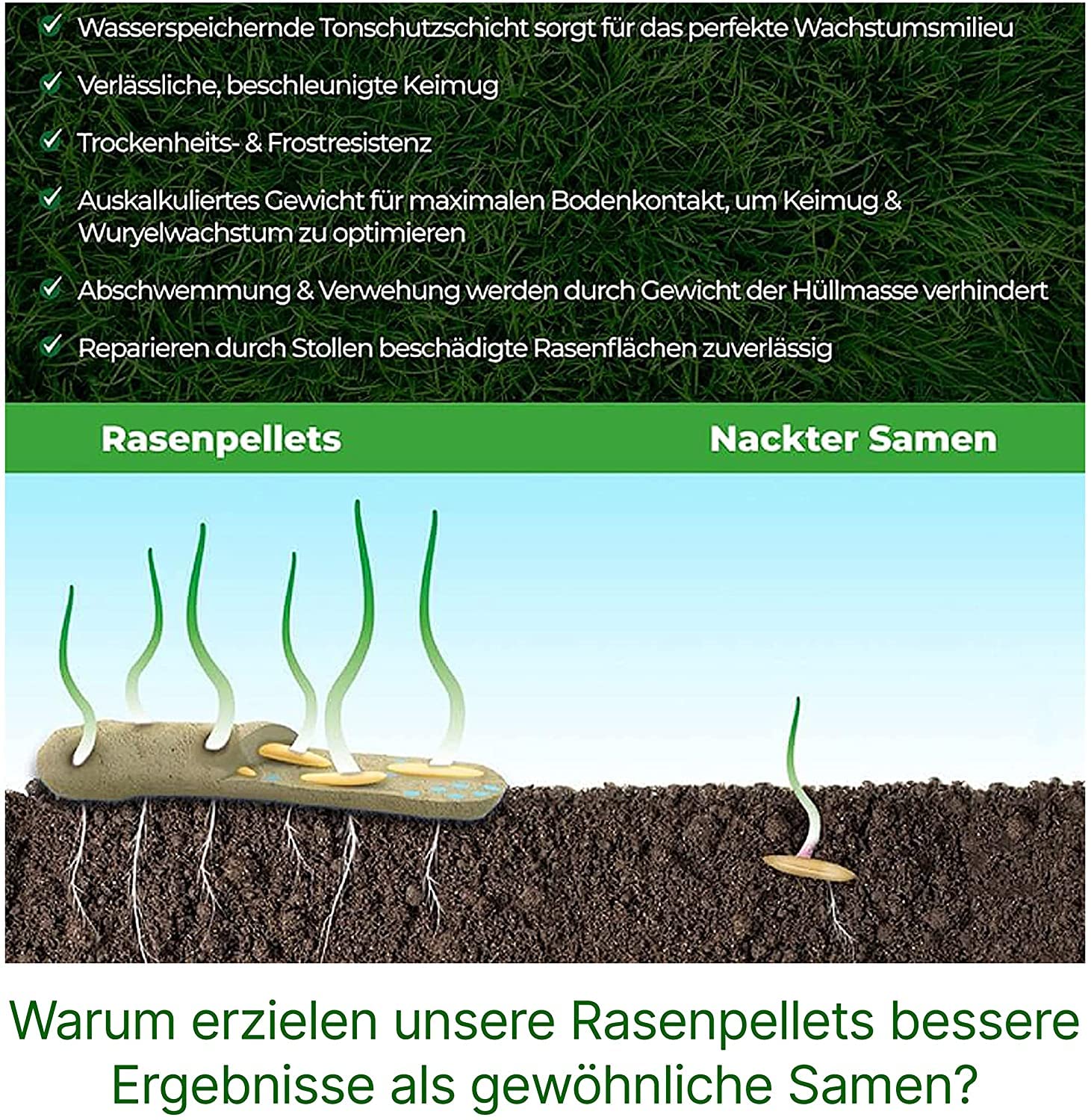 Rasenpellets Dürreresistenten für Schnellkeimenden Rasen - Rasensamen für Robusten und Widerstandsfähigen Rasen - Rasensaat zur Ansaat und Nachsaat für Sportrasen – Geeignet für Schatten… (10 Kg)