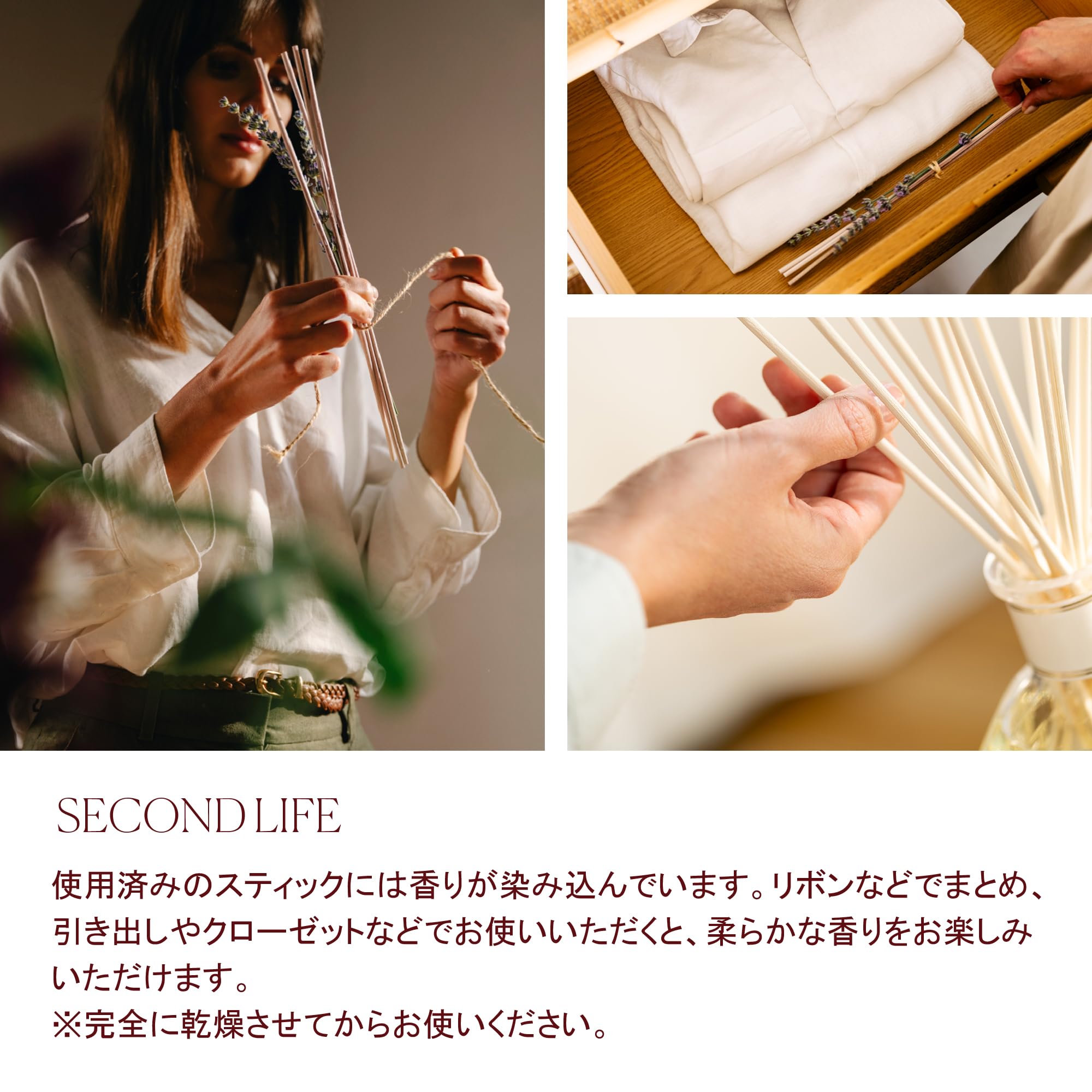 Amazon.co.jp: 【直営】DR. VRANJES –ドットール・ヴラニエス ARIA 
