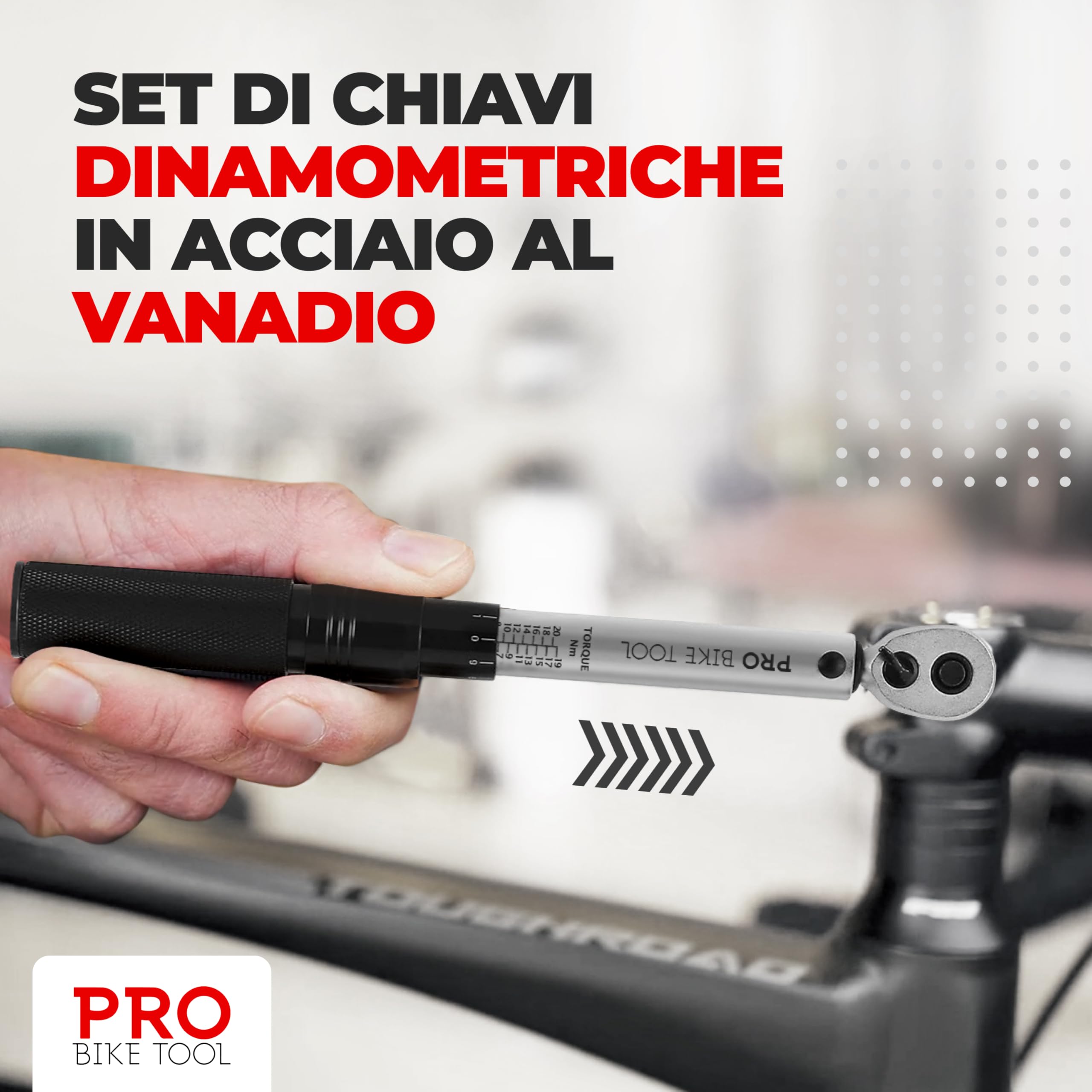 PRO BIKE TOOL Set Chiavi Dinamometriche 1/4" - 2-20 Nm - Kit Chiavi Torx e Brugola con Barra Estensione e Scatola - Chiave Dinamometrica per Bici Auto Moto - Accessori Bicicletta e Dinamometro