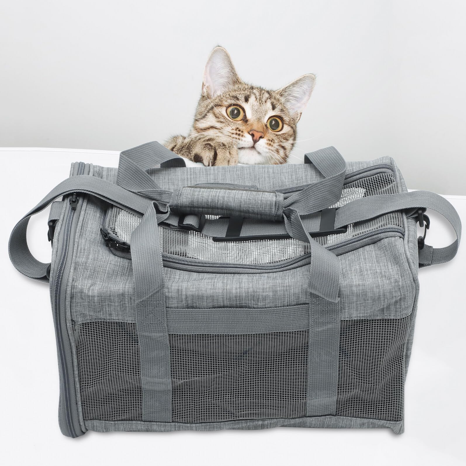 Faltbare Katzen Tragetasche aus Atmungsaktivem Mesh Kleine Haustier transporttasche Wasserabweisend und Robust Handliche Umhängetasche für Sicheren Tiertransport Unterwegs