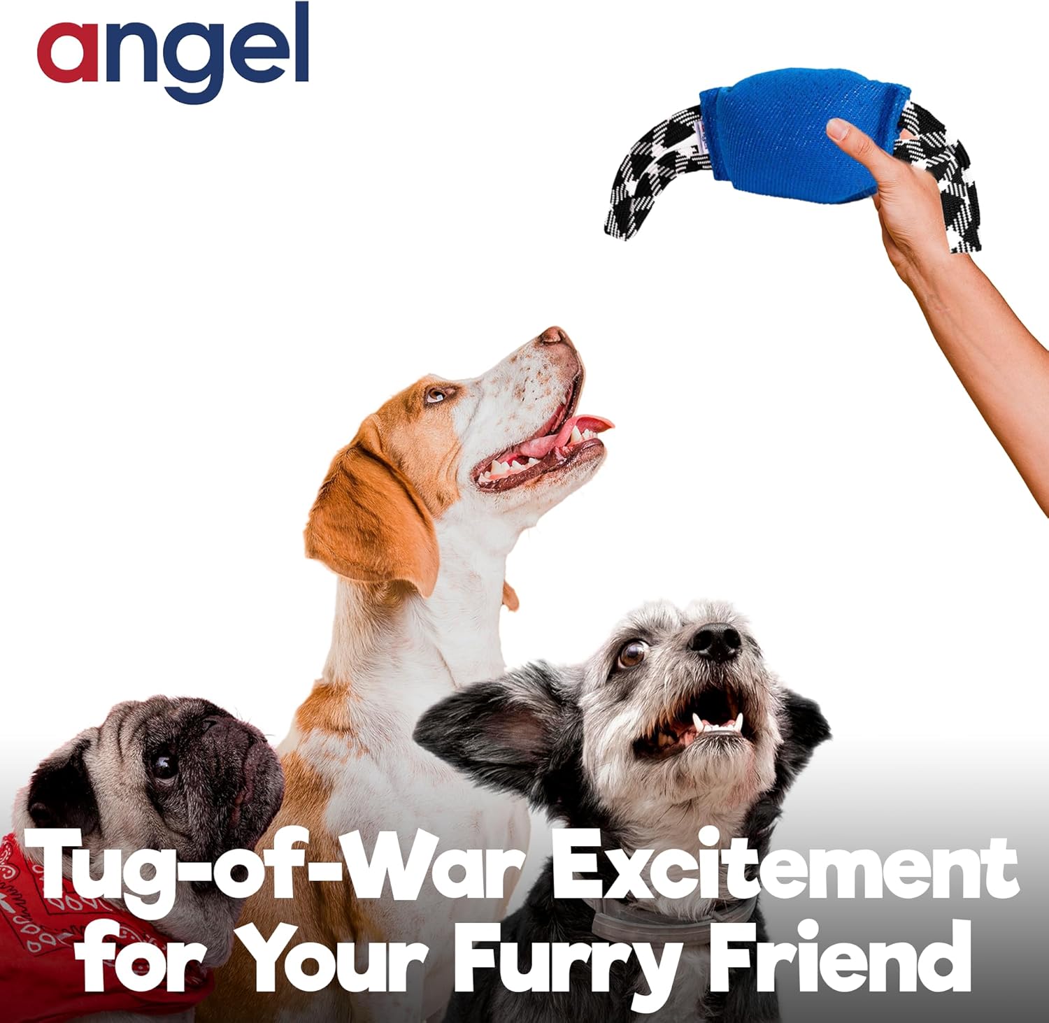 Evolution Oval Dog Tug Toy | Soft Grip Dog Bite Toy with 2 Handles | Oval Tug Toy for Medium to Large Dogs | Durable Biting Toy for Puppy Training Interactive Play, Bite Trainings | Blue | by Angel