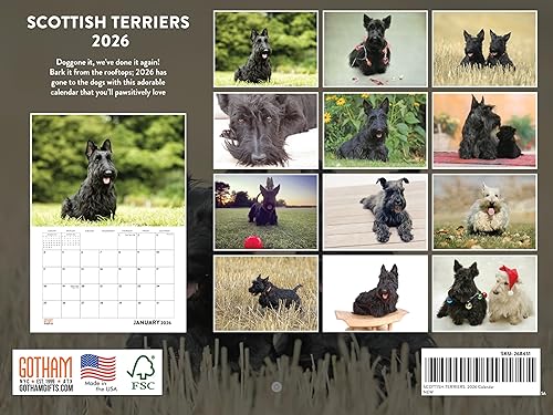 Vista 240 de Calendario Goldendoodle 2026 Golden Doodle mensual de pared calendario de 12 meses Fabricado en Estados Unidos