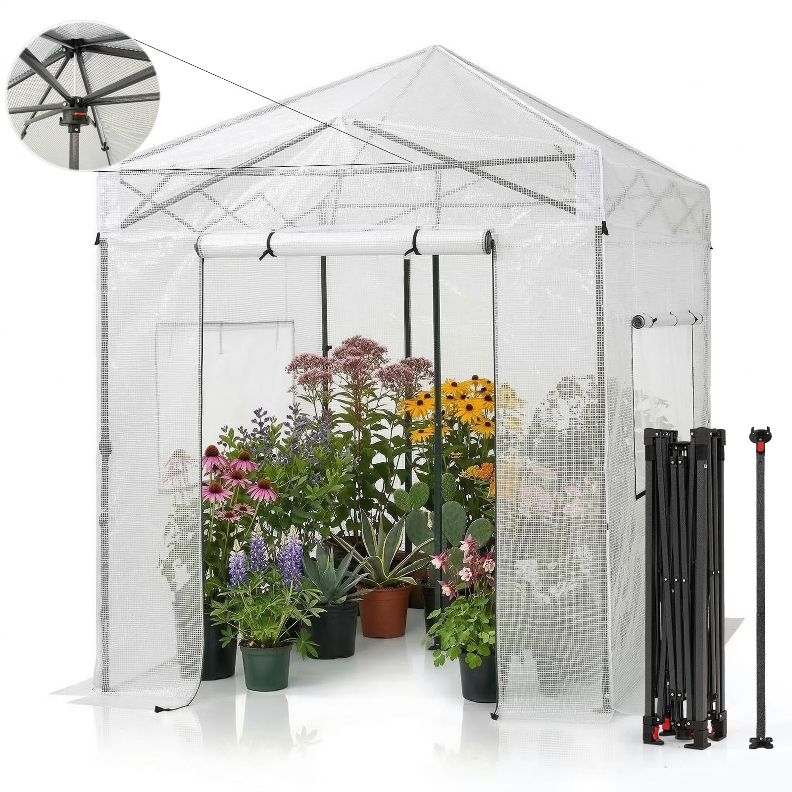 CROWN SHADES 8x6 Pop Up Greenhouse