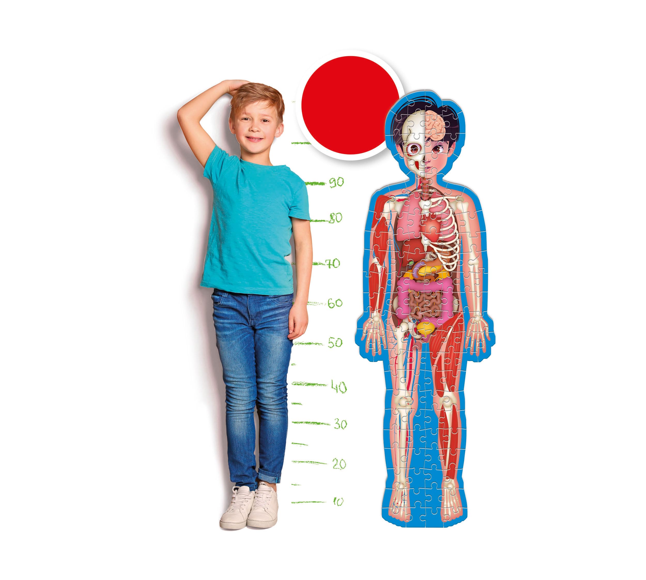 Clementoni Sapientino più - Il Corpo Umano, Gioco Educativo per Bambini 6-10 Anni, per Scoprire Anatomia e Scheletro, con Puzzle di 1m e Schede Educative, Made in Italy, Lingua Italiana, 16471