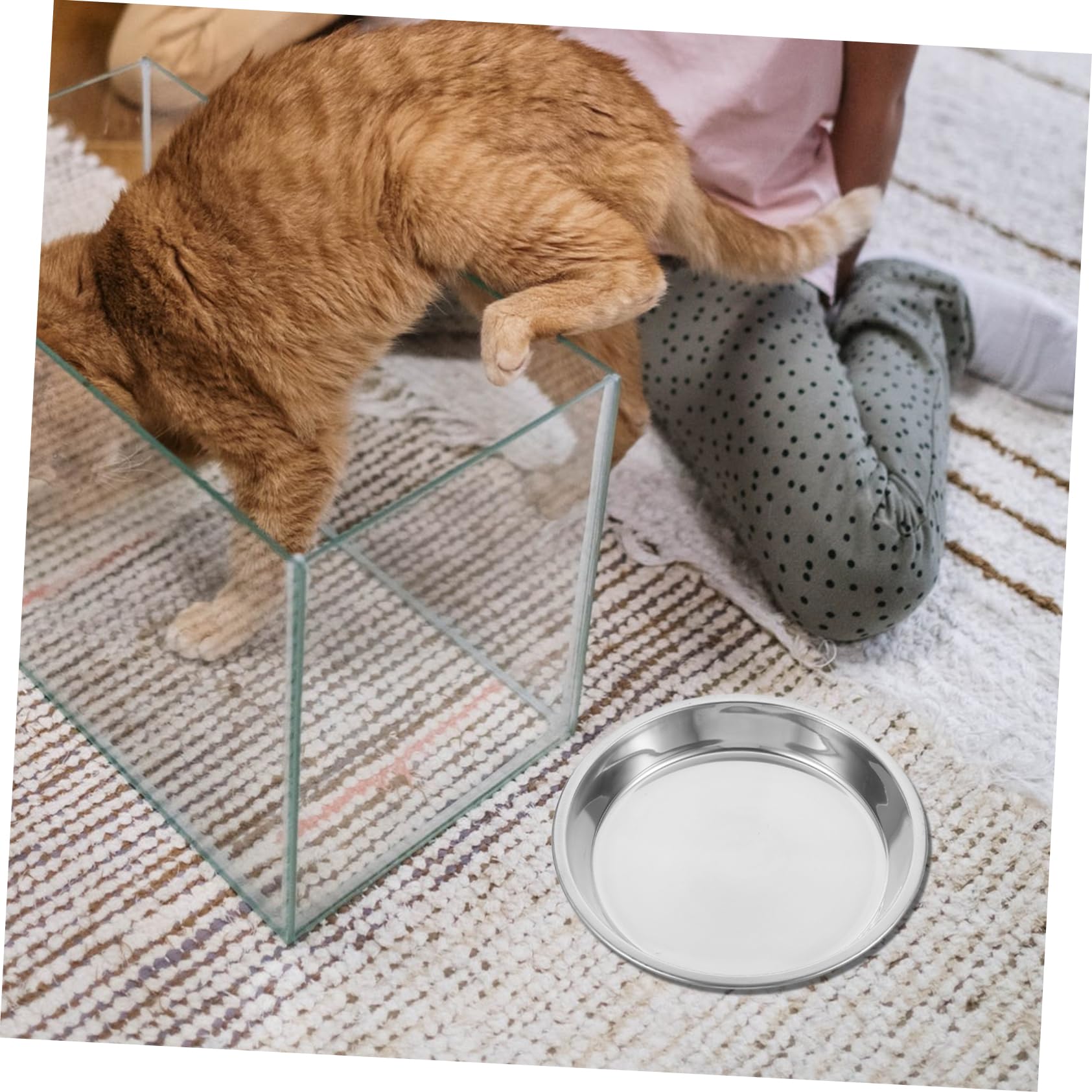 VICASKY 4Pcs Cat Bowls Wear Resistant Kitten Feeding Bowls for Comfortable Easy to