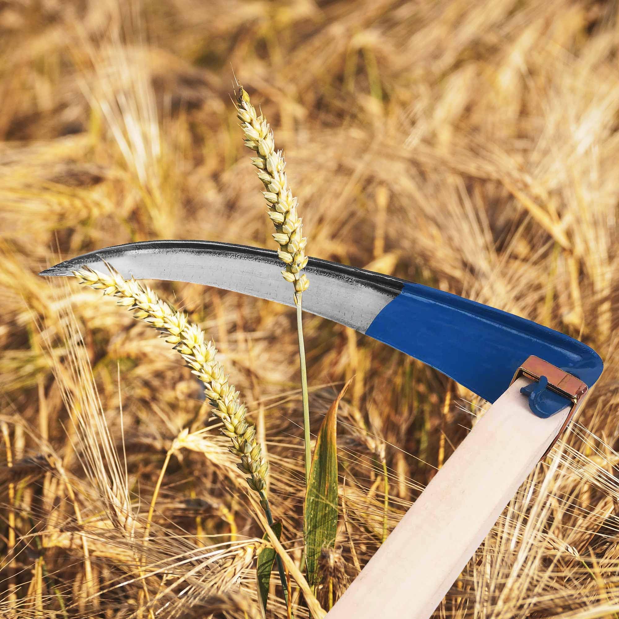 Sense ohne Stil Sägezahngras Wildwuchssense 80 cm, Sensensichel für Mähen von Gras Getreide, Unkraut, Handsense, Gartensense Waldsense Unkraut, Sense für Garten