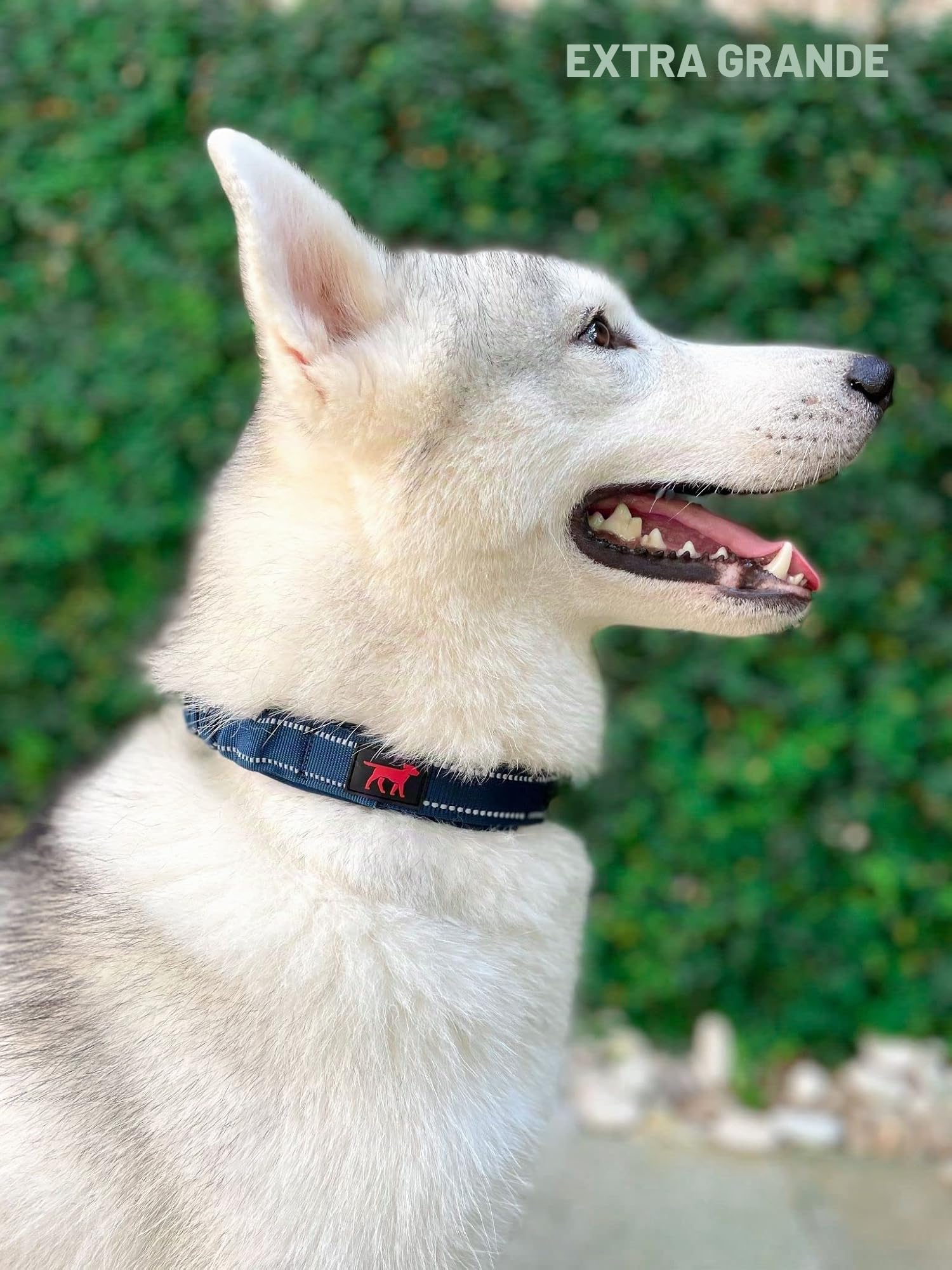 Tuff Pupper Collar de perro resistente con asa, collar de nailon balístico resistente, collar reflectante acolchado con herrajes de acero inoxidable ajustables, tamaño conveniente para todas las razas