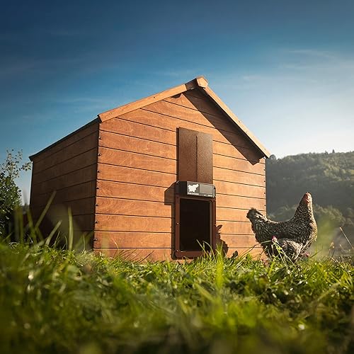 Miniatura 5 de RUN-CHICKEN Puerta (marrón) Puerta automática de gallinero con energía solar, funciona con pilas, abridor de puerta eléctrico programable con