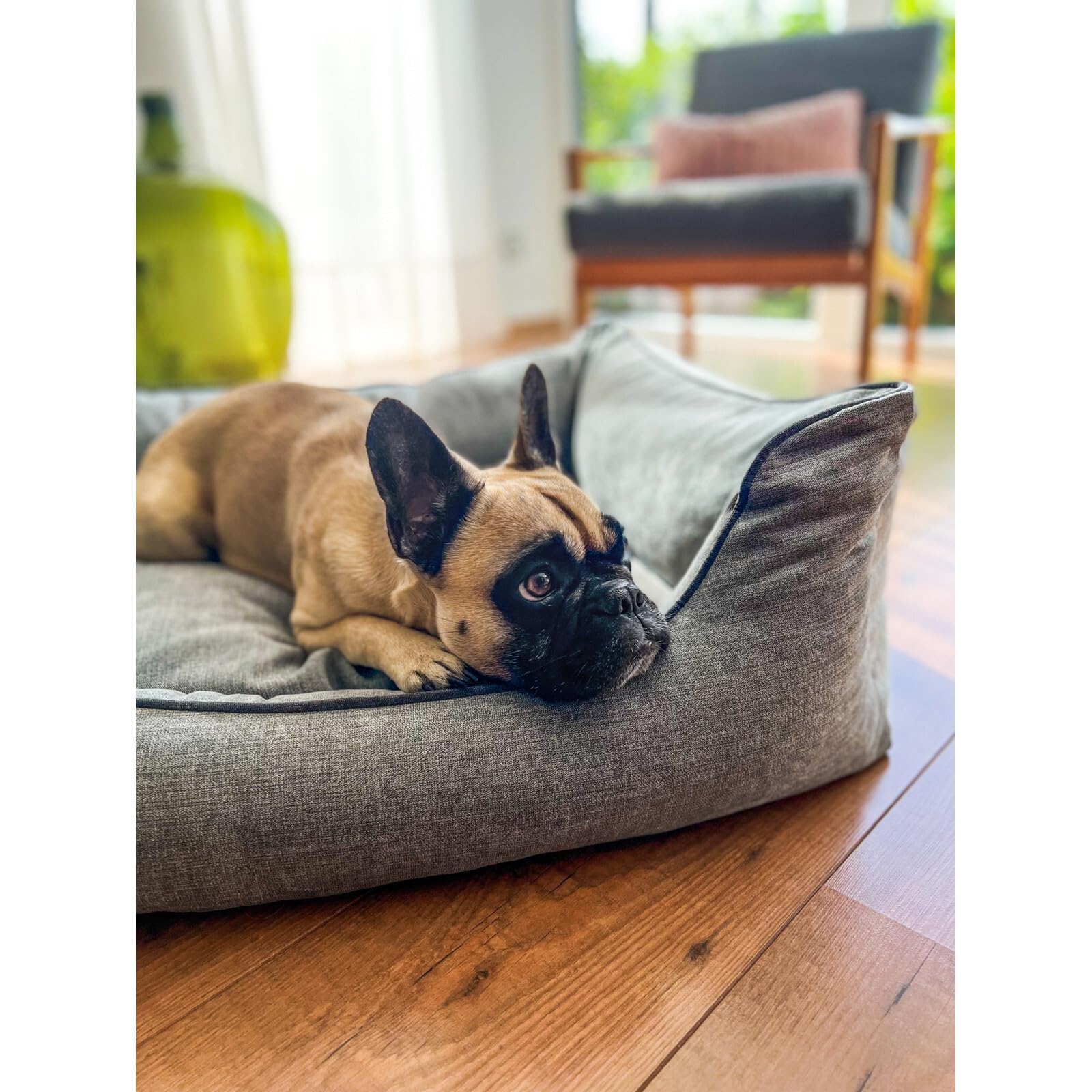 Aumüller Divano per cani Ortho Line, grigio – 117 cm – Divano ortopedico per cani | Cuscino reversibile con memory foam | Rivestimento rimovibile | Prodotto in Europa