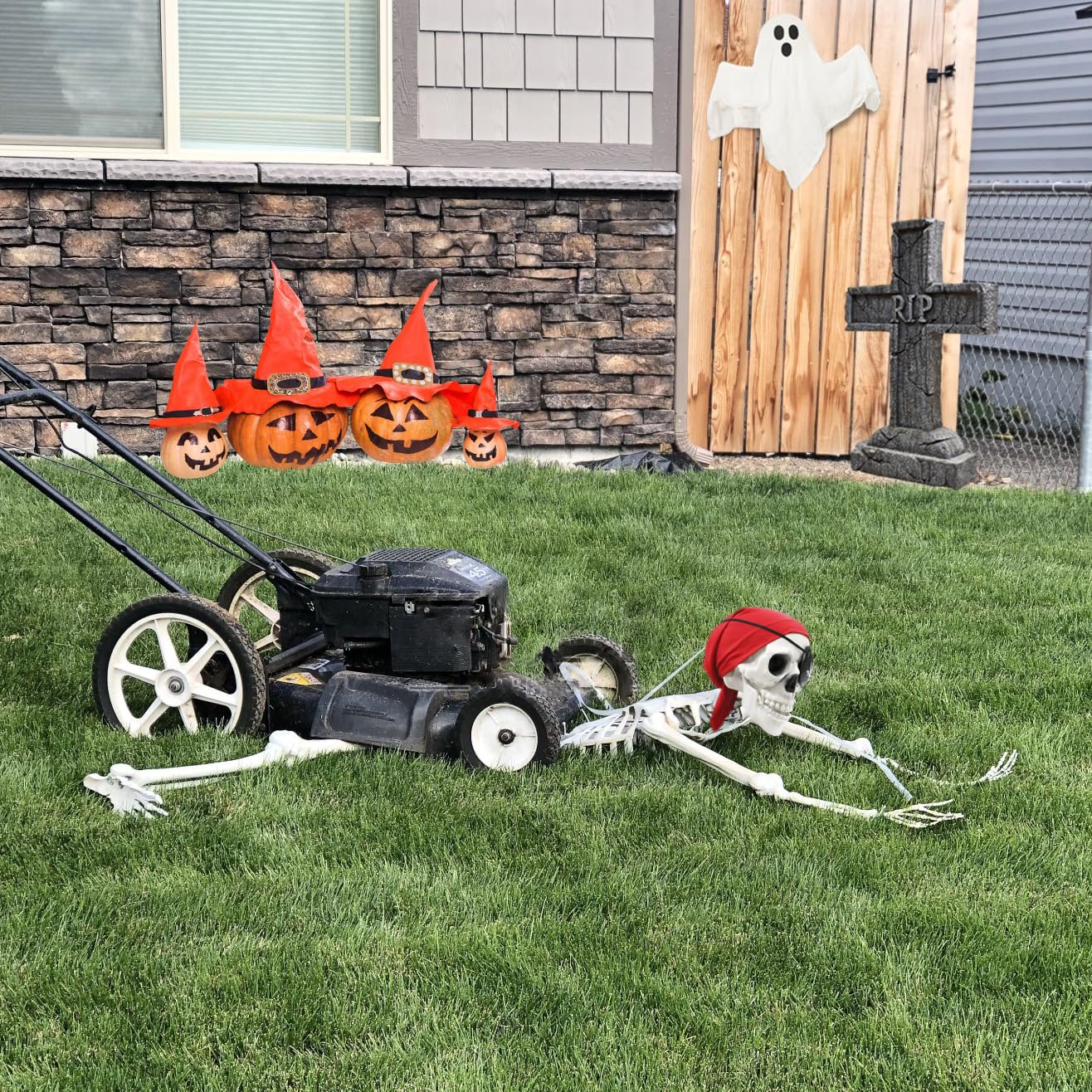 5.4Ft Skeleton Halloween Decoration, 65Inch/165cm Life Size Posable Halloween Skeleton, Full Size Body Skeleton with Movable Joints for Halloween Indoor Outdoor Haunted House Decor