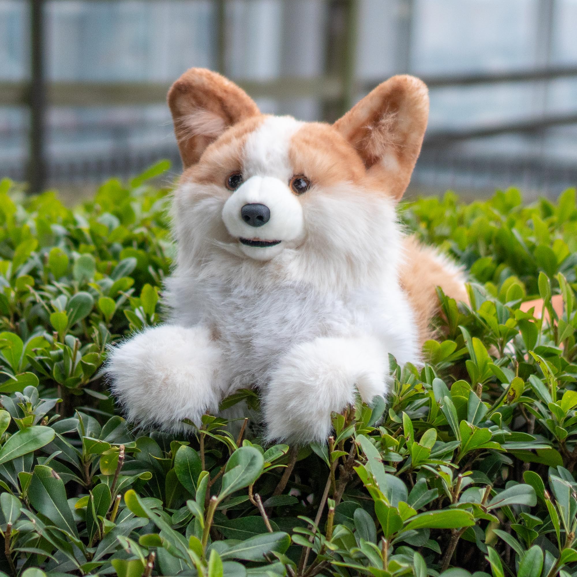 Amazon.co.jp: Chongker ぬいぐるみ ぬいぐるみ - リアルな動物 犬の