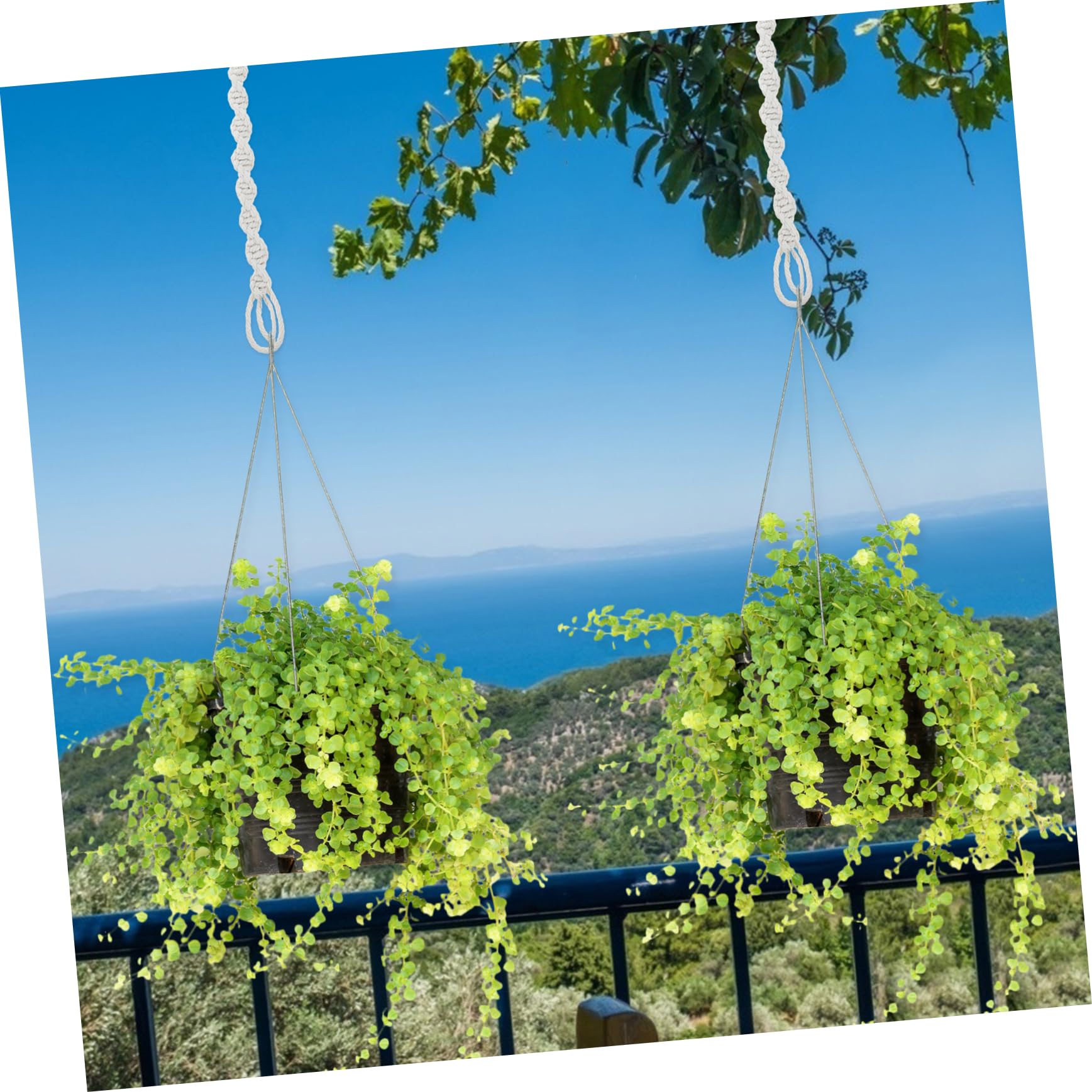 Yardwe 3 Set 3 Set Di Cestini Appesi Puleggia Ciotola Piante Vasi Macramè Alta Ganci Rialzati Fioriere Terrari Ganci Retrattili Supporto Da Parete Per Vasi 6 pezzi*3