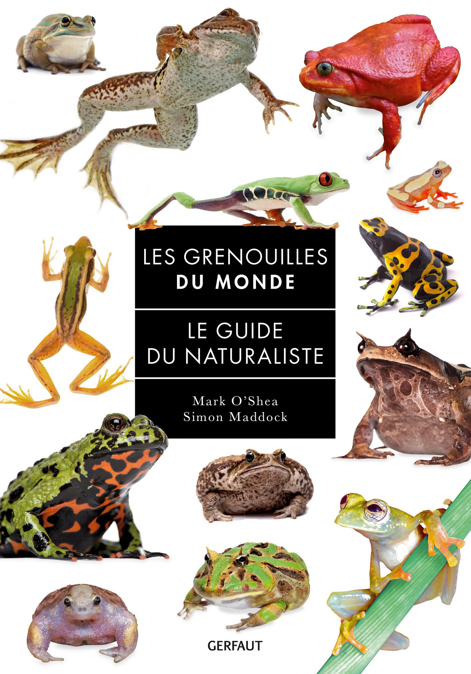 Grenouilles du monde: Le guide du naturaliste