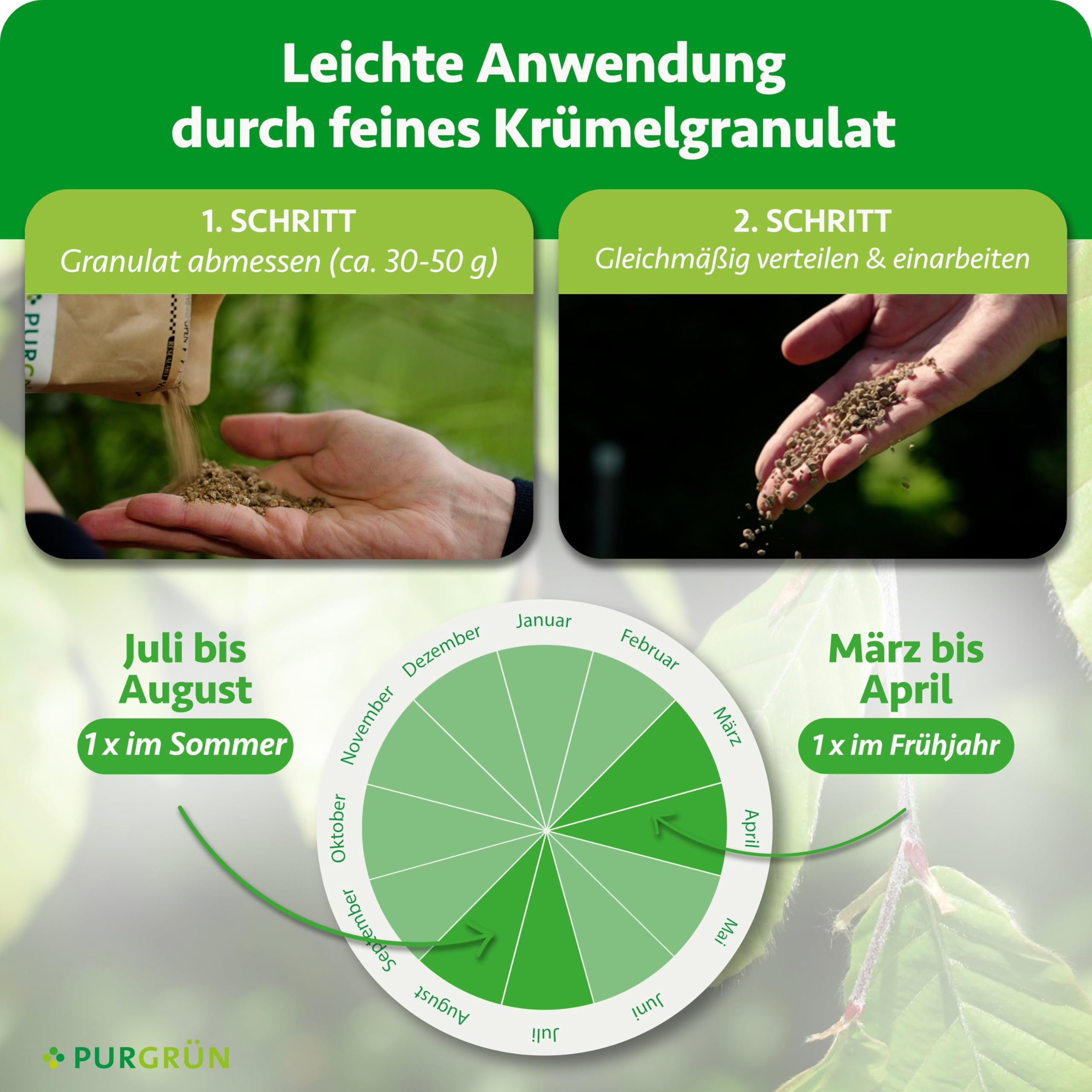 Buchenhecke-Dünger 1 kg – Organisch-mineralische Rezeptur – Feinkörniges Krümelgranulat – NPK 9+4+8 – Extra Magnesium für leuchtend grüne Blätter – Verbessert die Bodenqualität