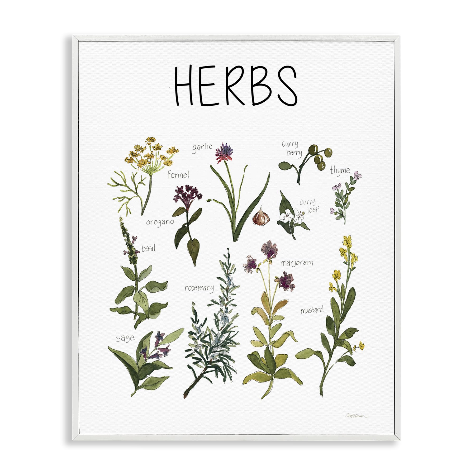 Stupell Industries Coastal White (Textured) 'Herbs Identification Chart'| Framed Giclee Art